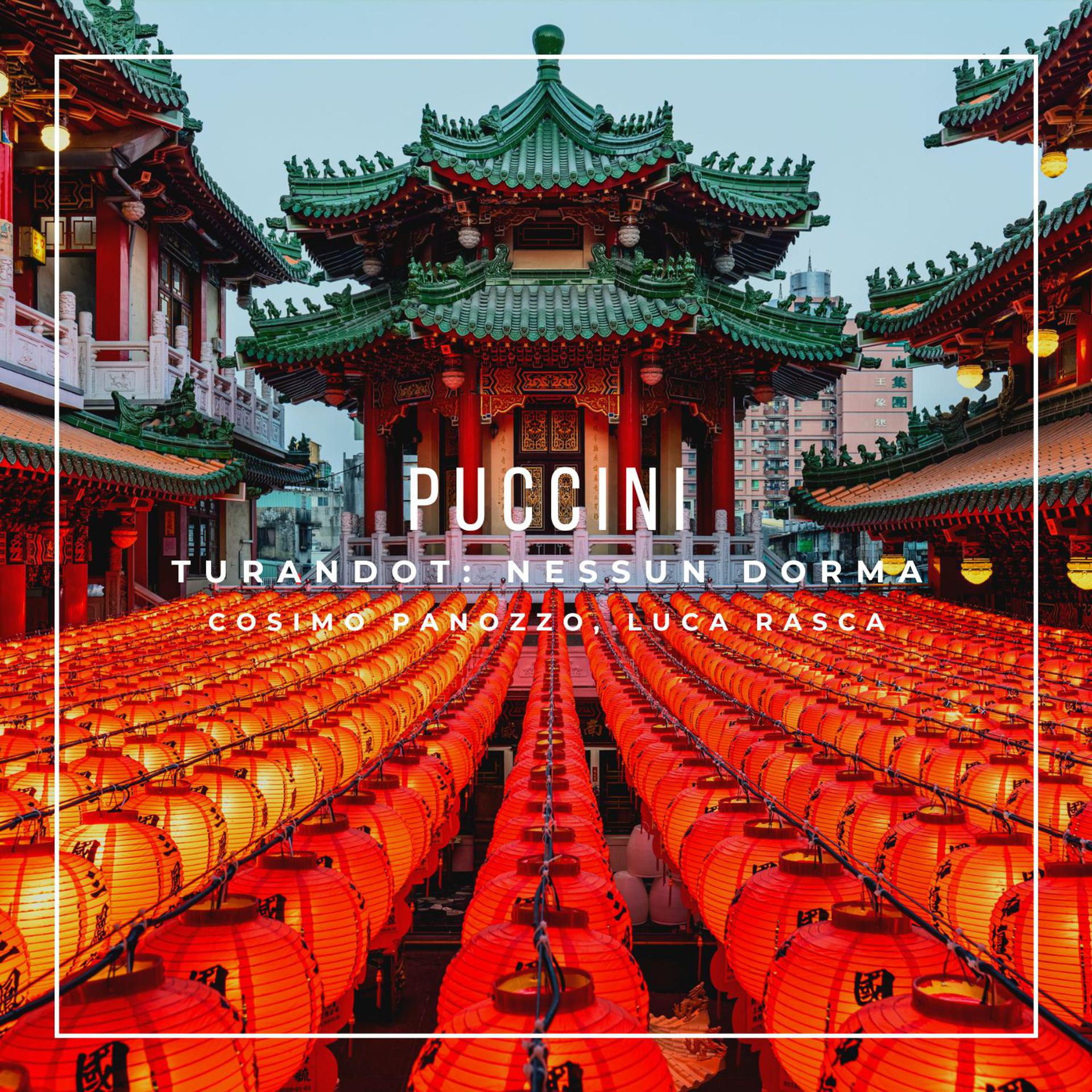 Постер альбома Turandot, SC 91: "Nessun Dorma (Vincerò)"