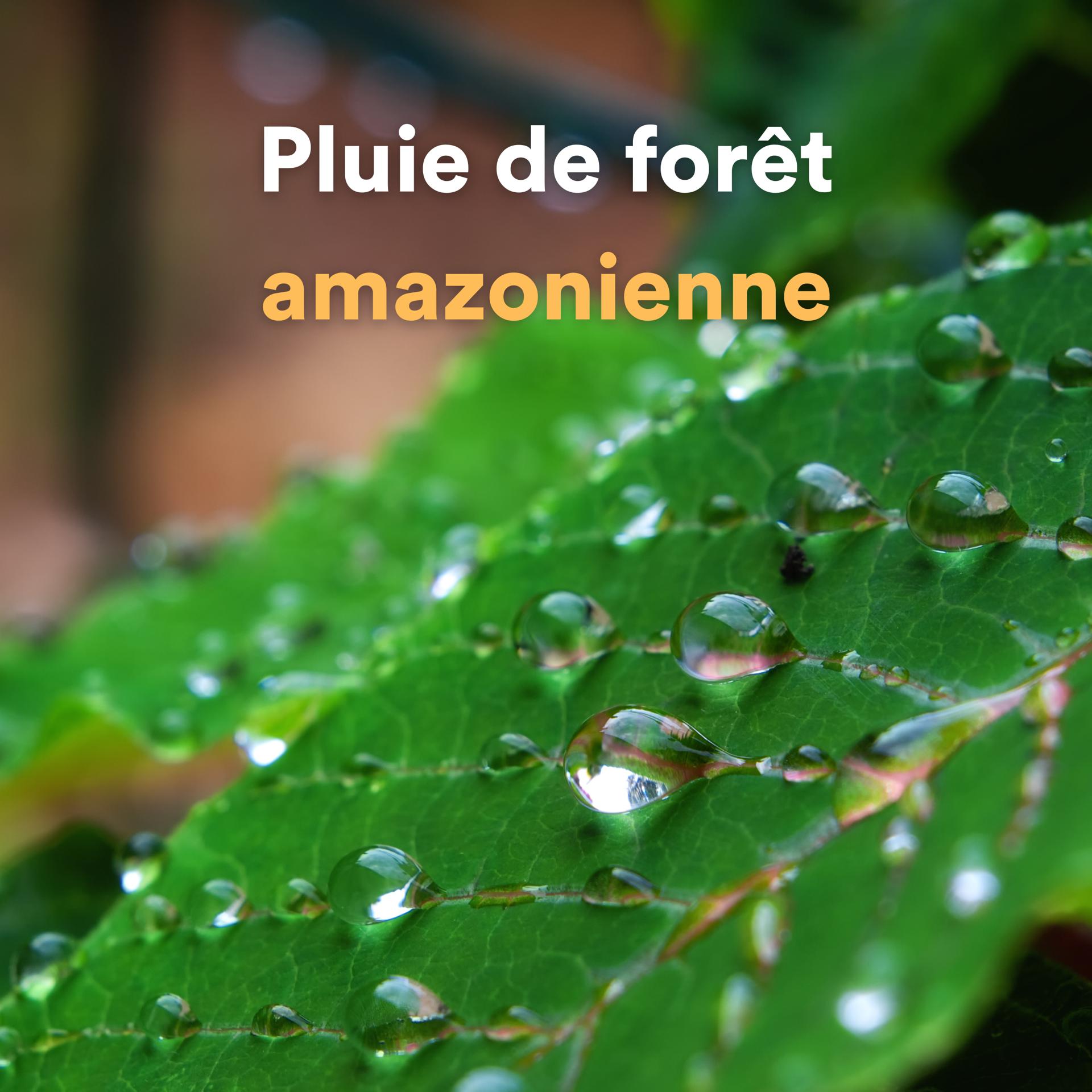 Постер альбома Pluie de forêt amazonienne