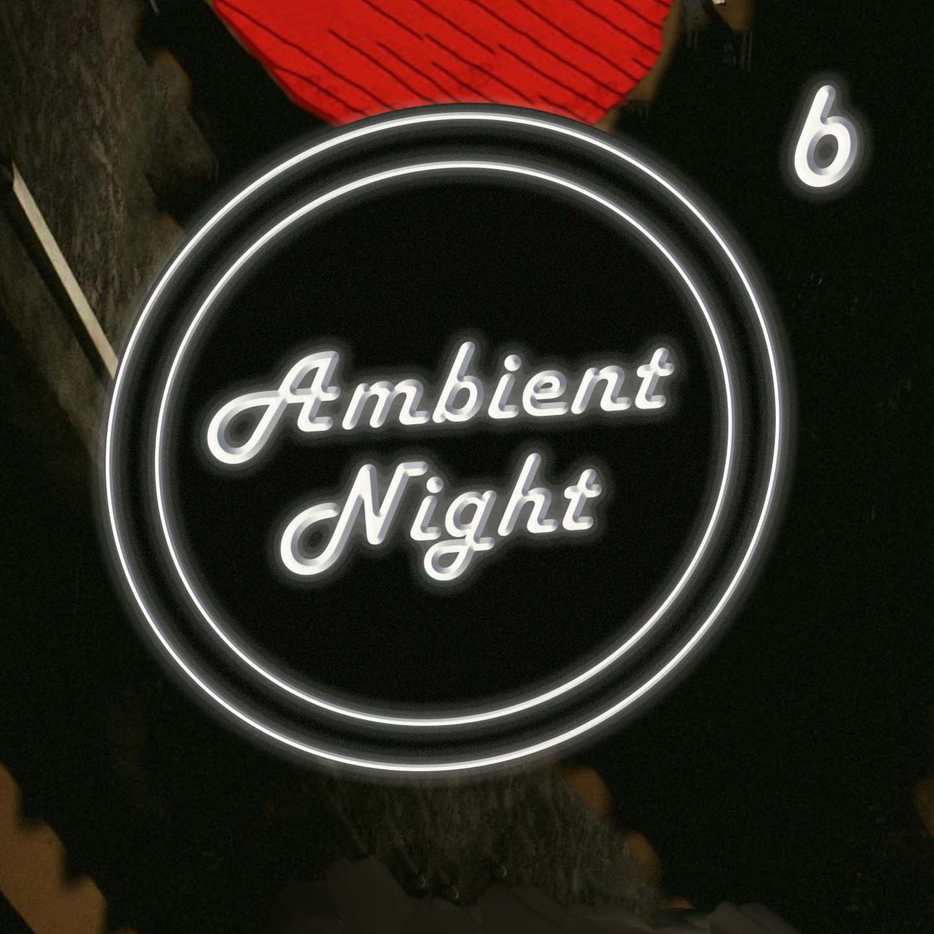 Постер альбома Ambient Nights 6