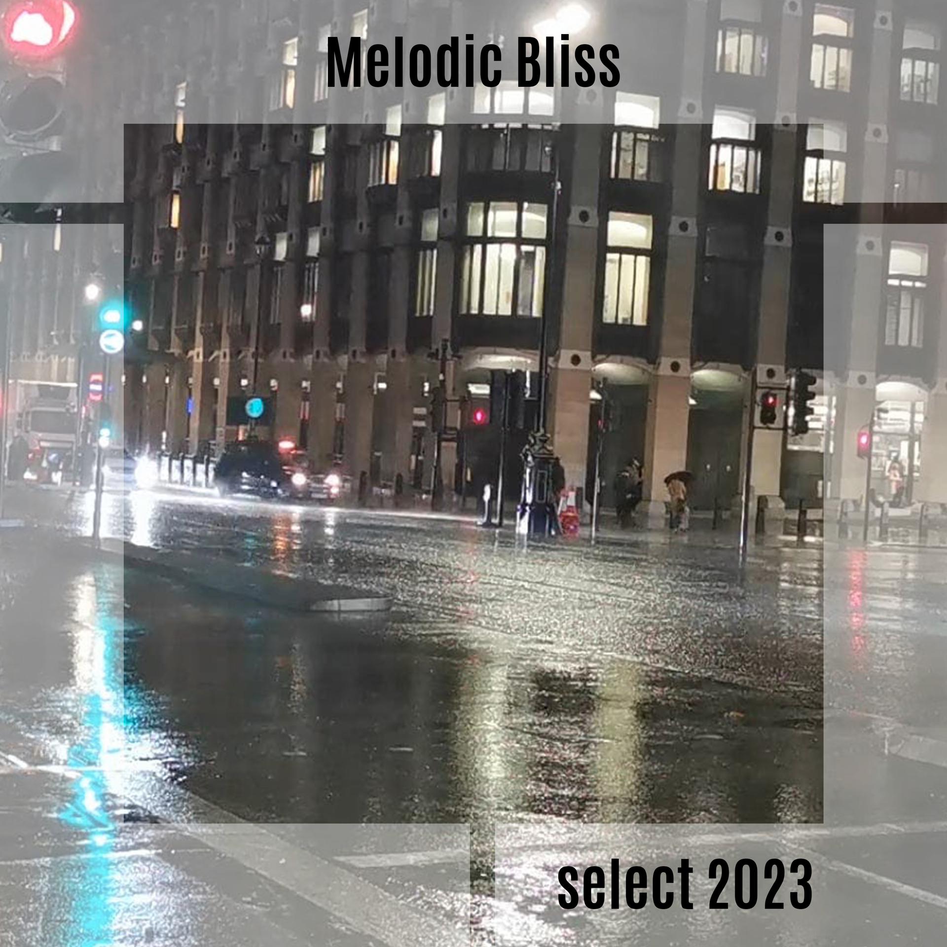 Постер альбома Melodic Bliss Select 2023