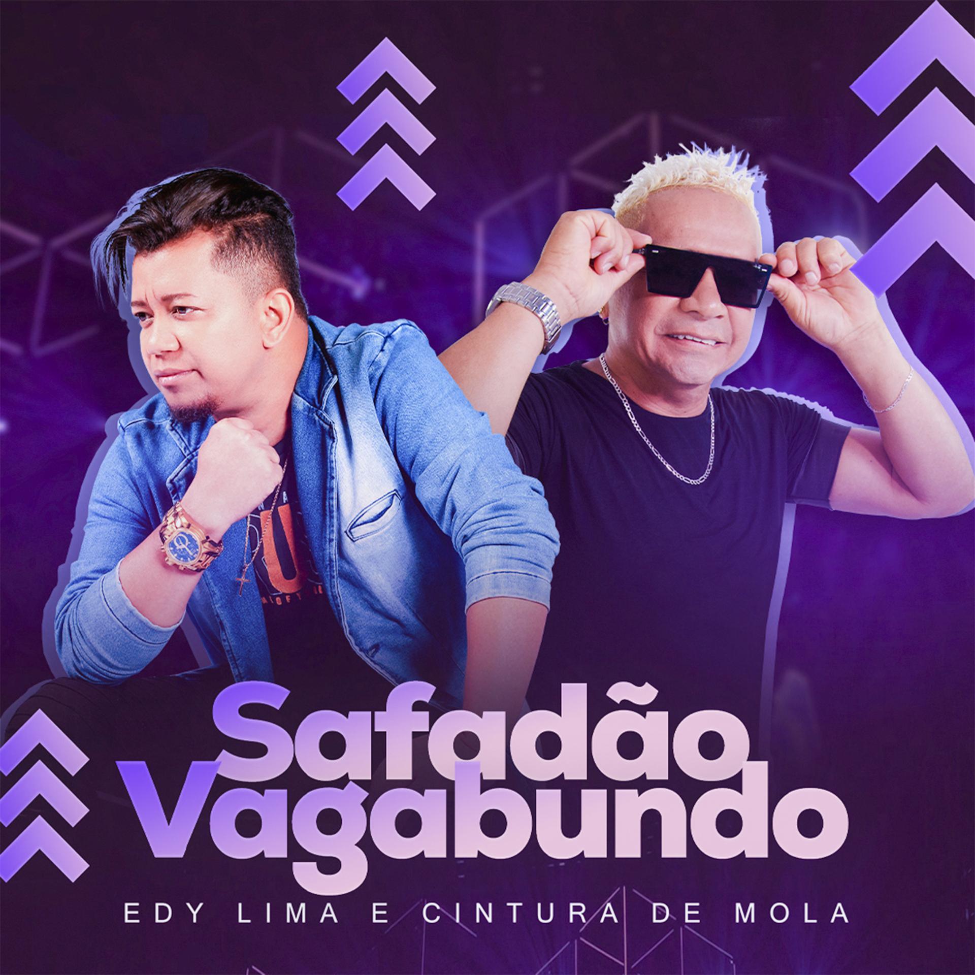 Постер альбома Safadão Vagabundo