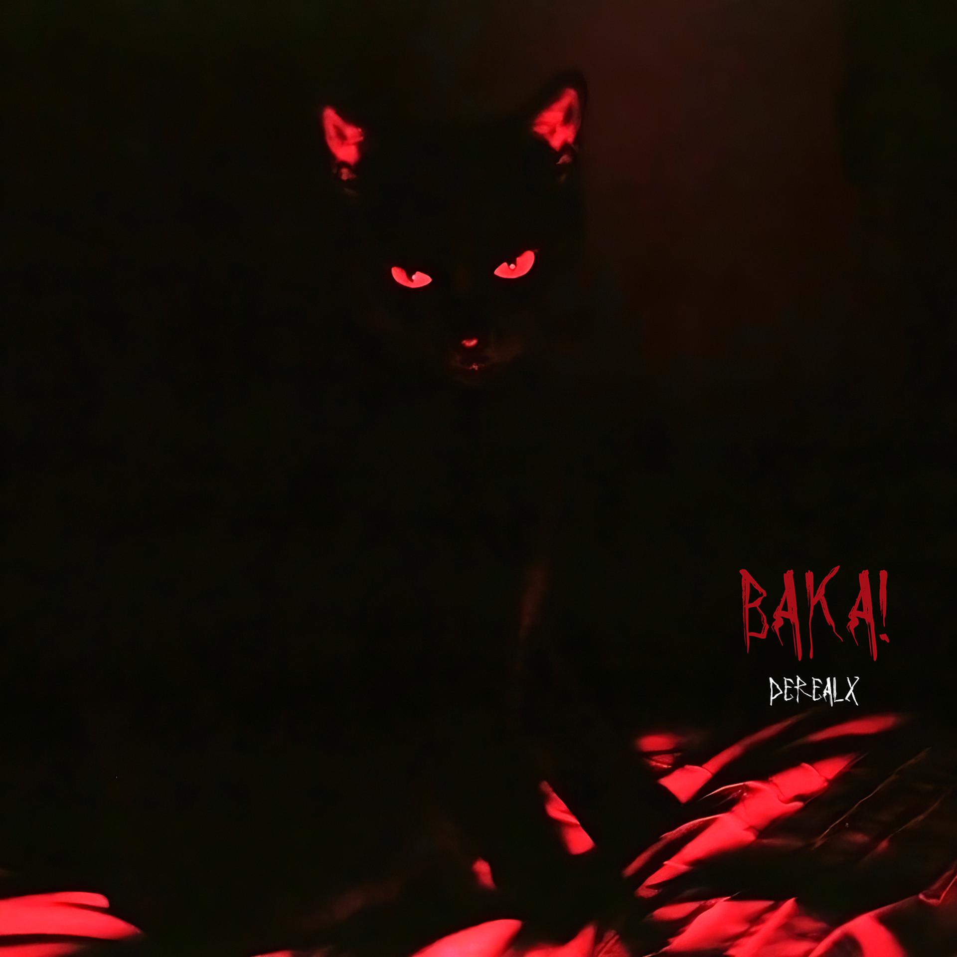 Постер альбома Baka!