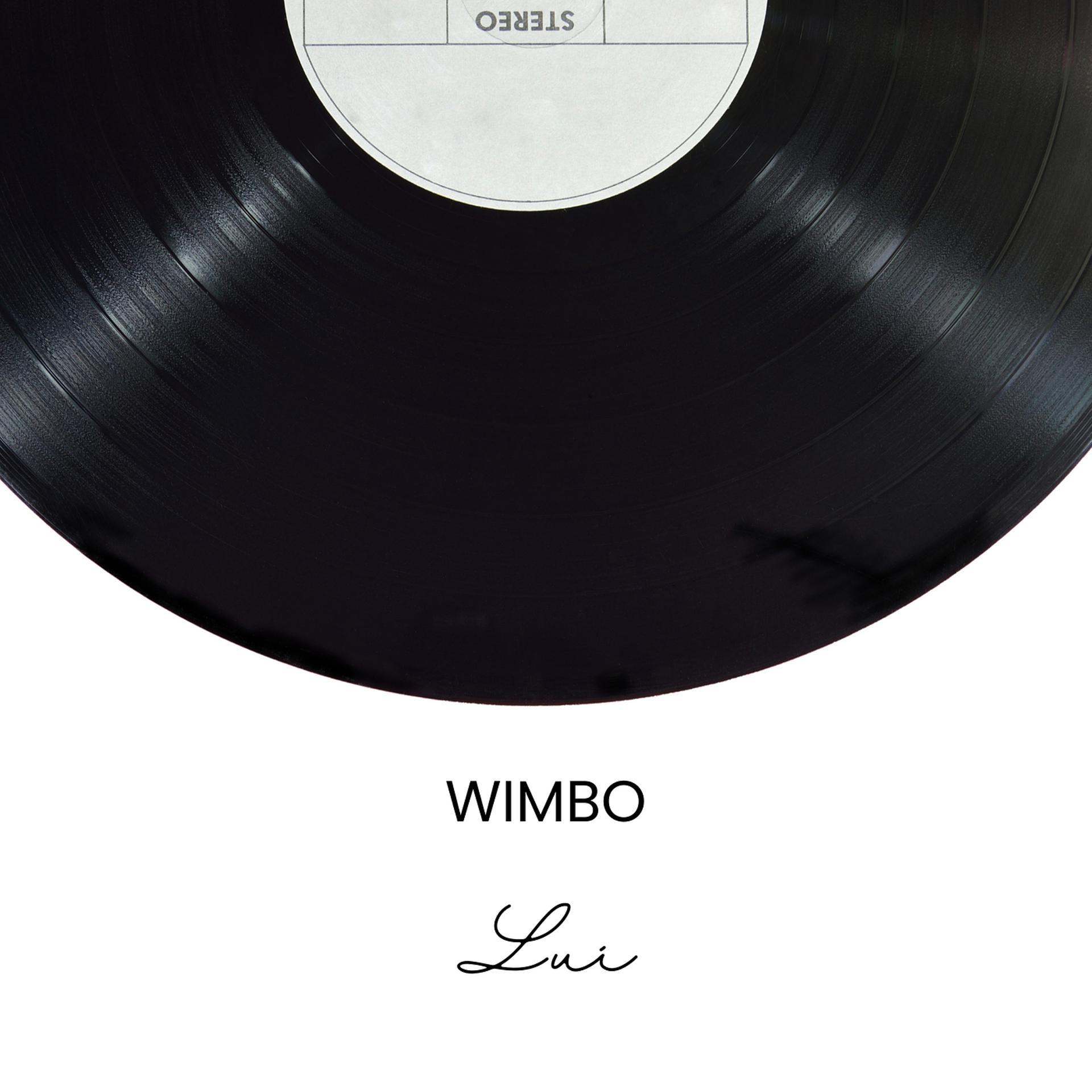 Постер альбома Wimbo