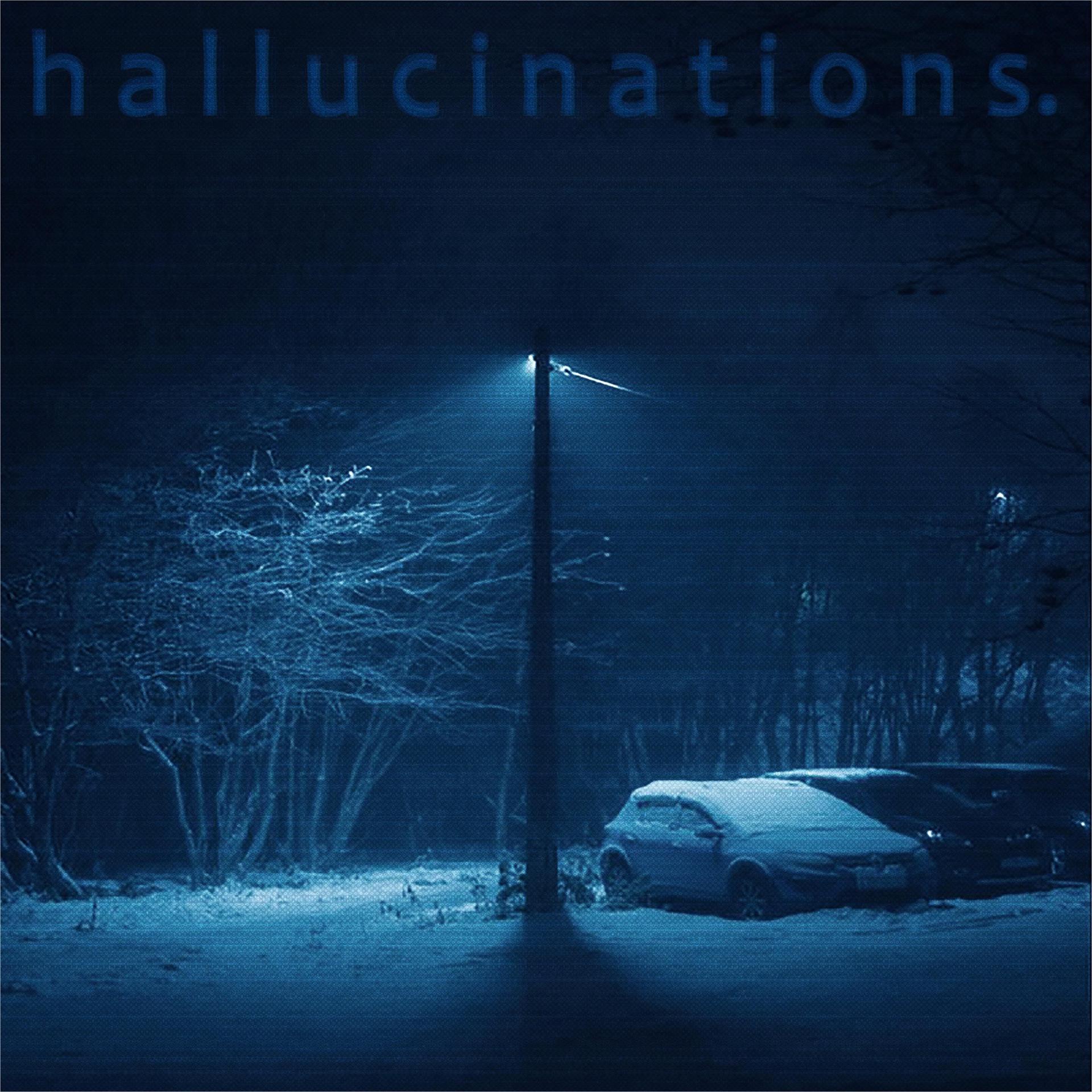 Постер альбома hallucinations