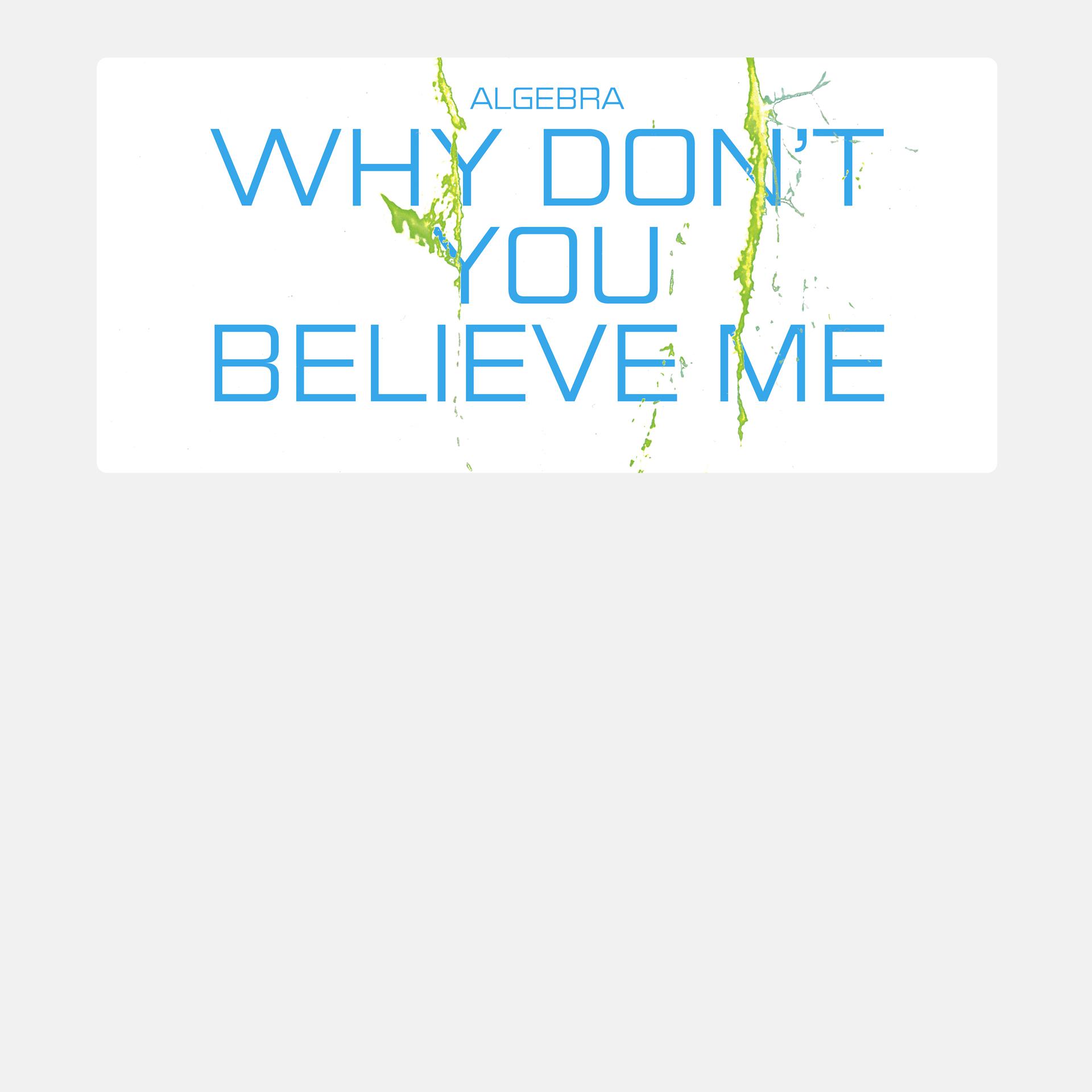 Постер альбома Why Don't You Believe Me