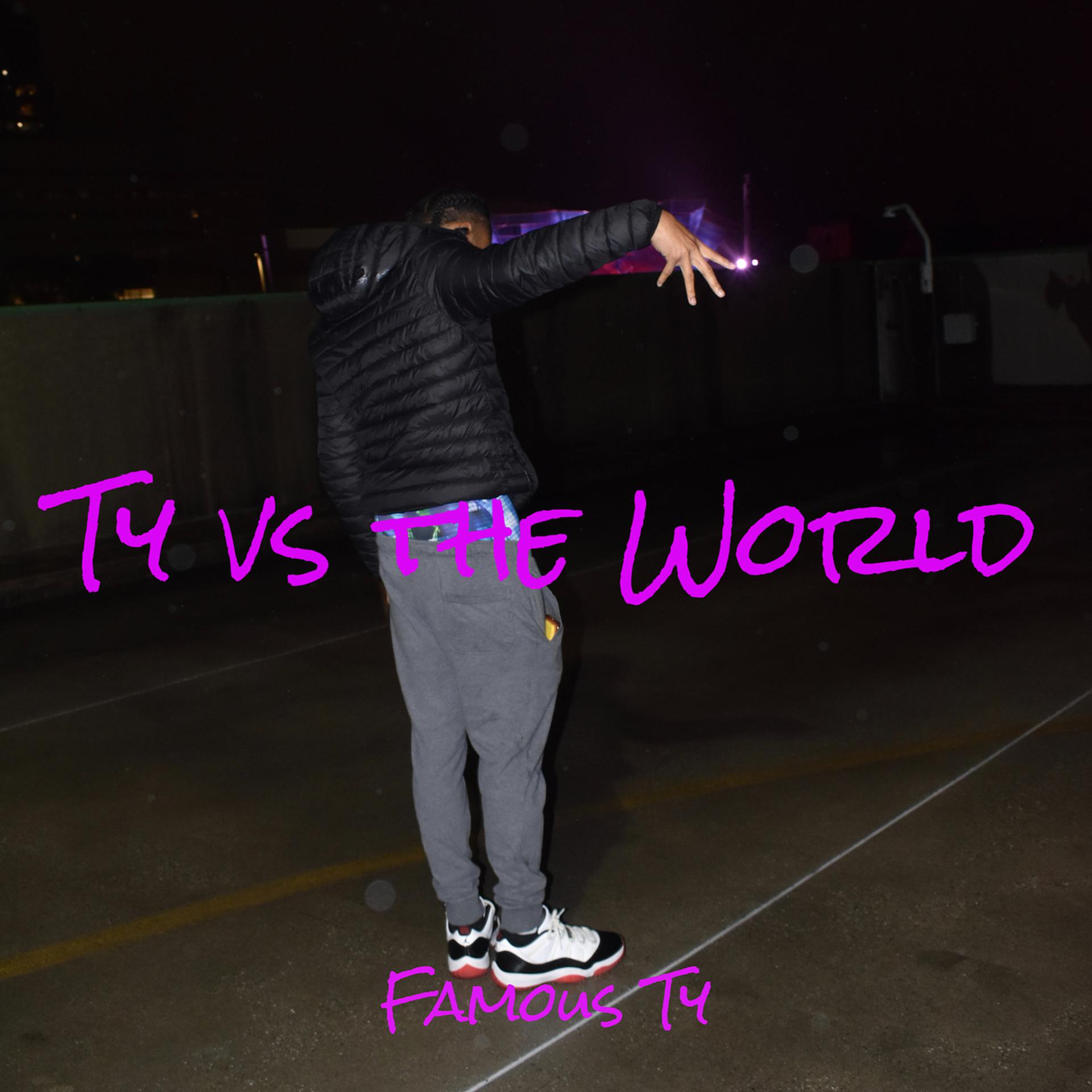 Постер альбома Ty vs the World