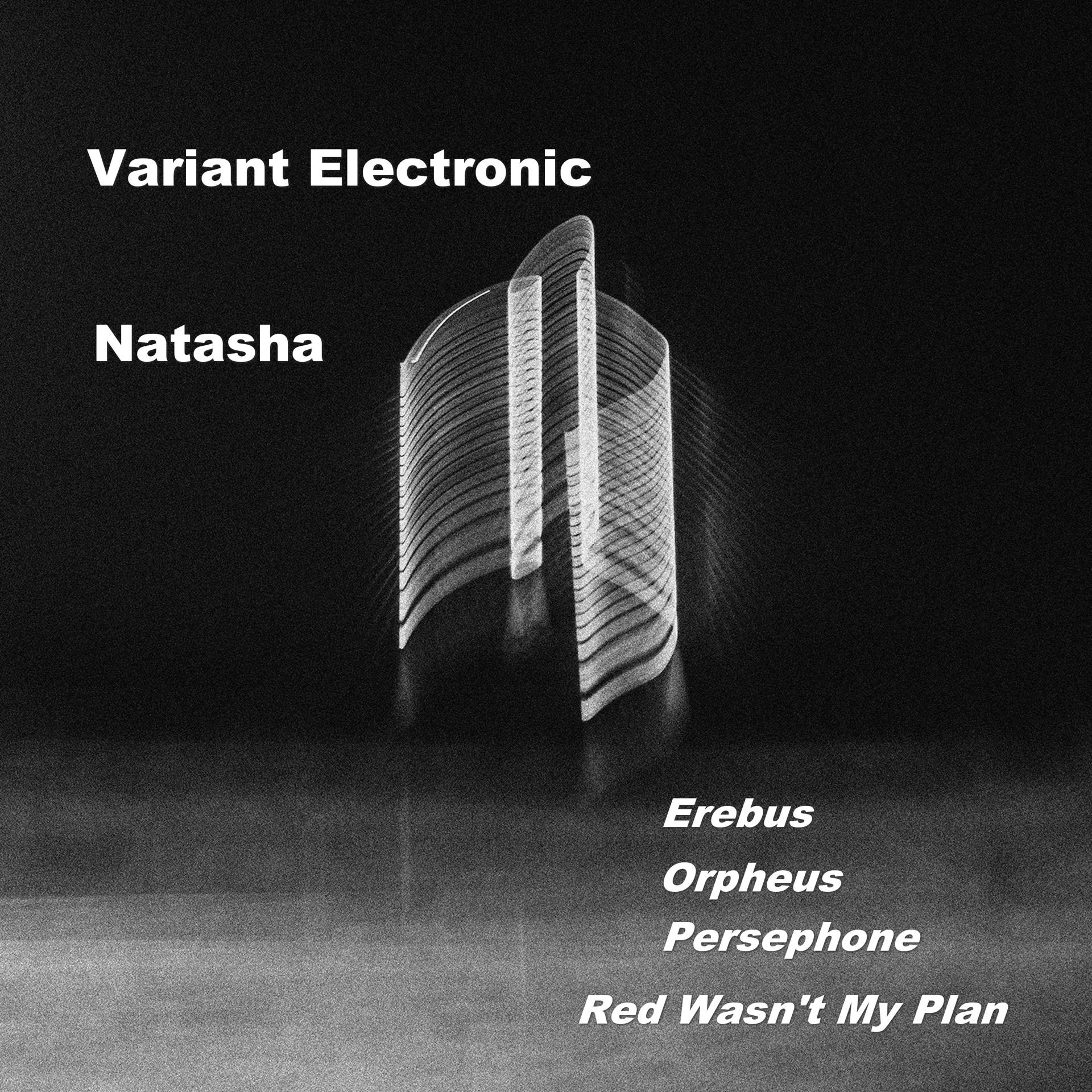 Постер альбома Variant Electronic VE006