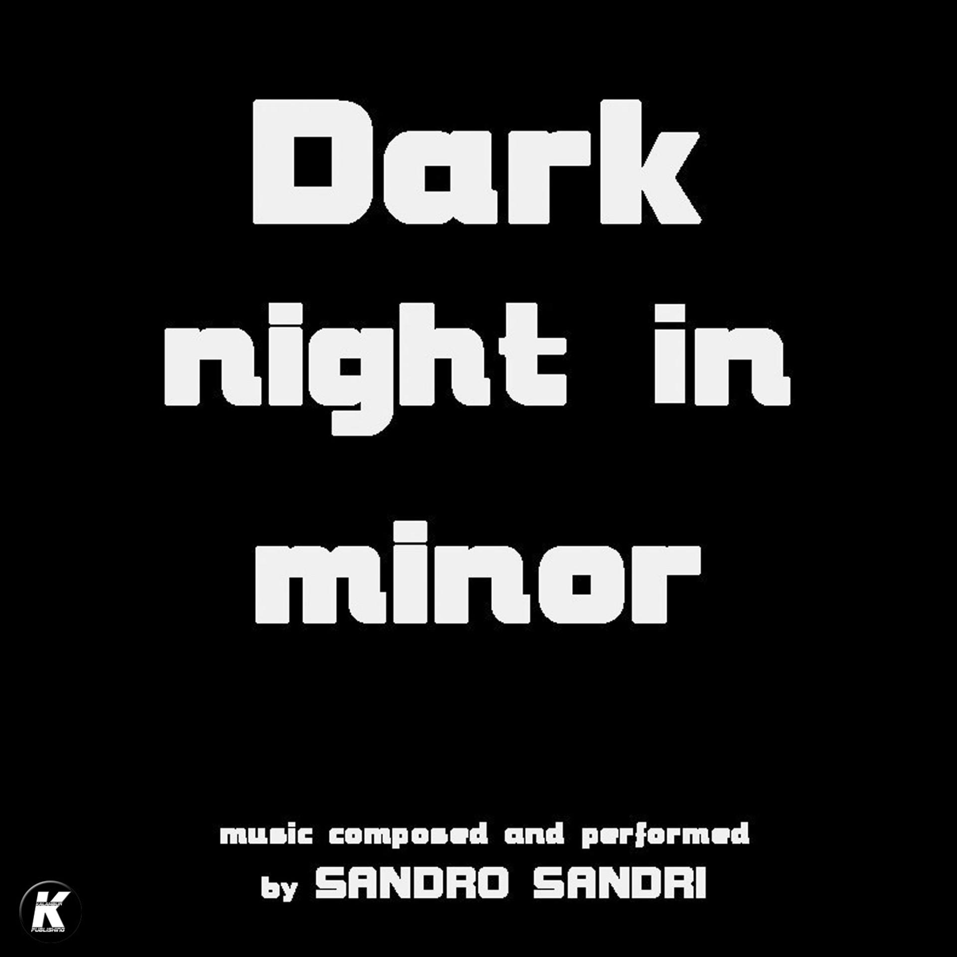 Постер альбома DARK NIGHT IN MINOR