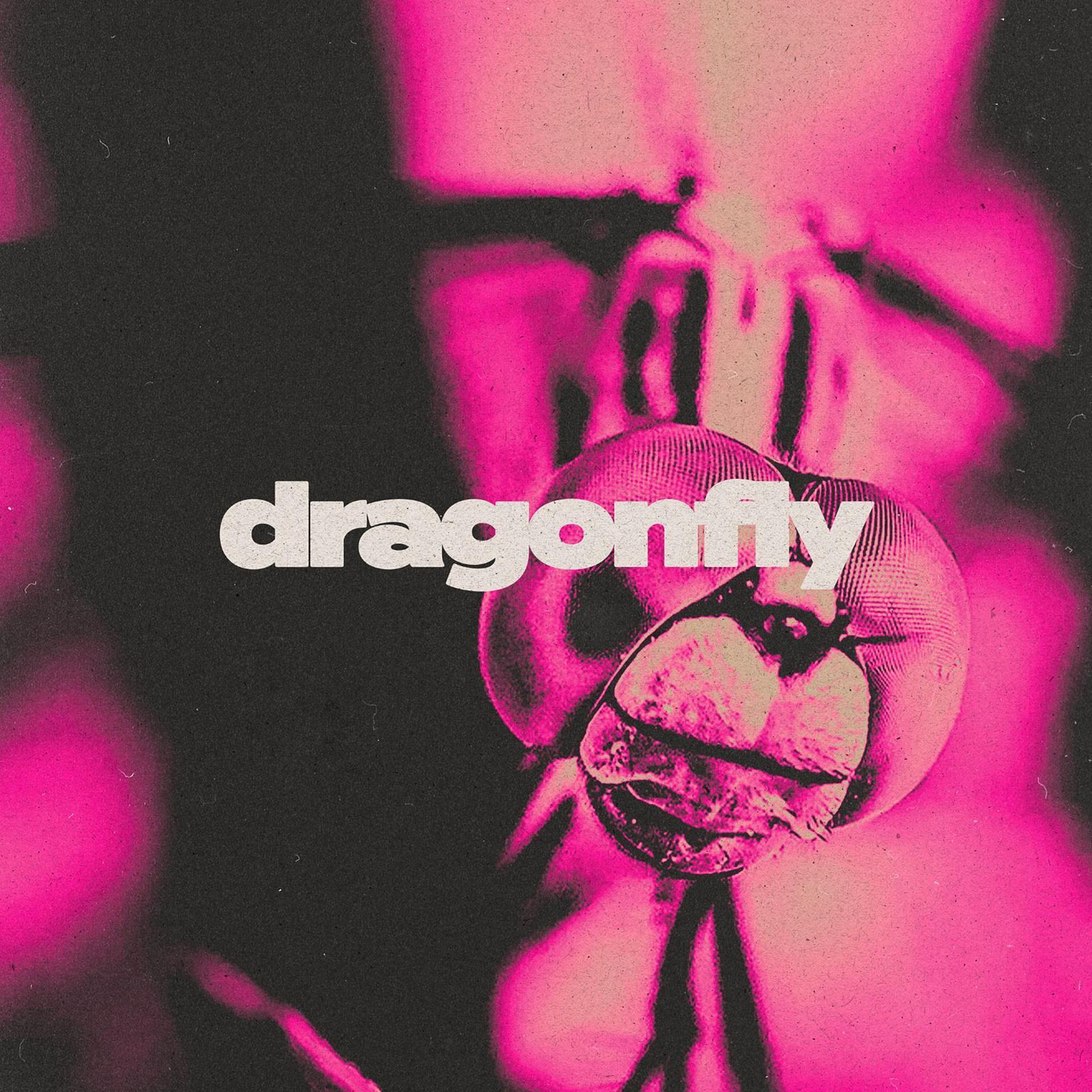 Постер альбома Dragonfly