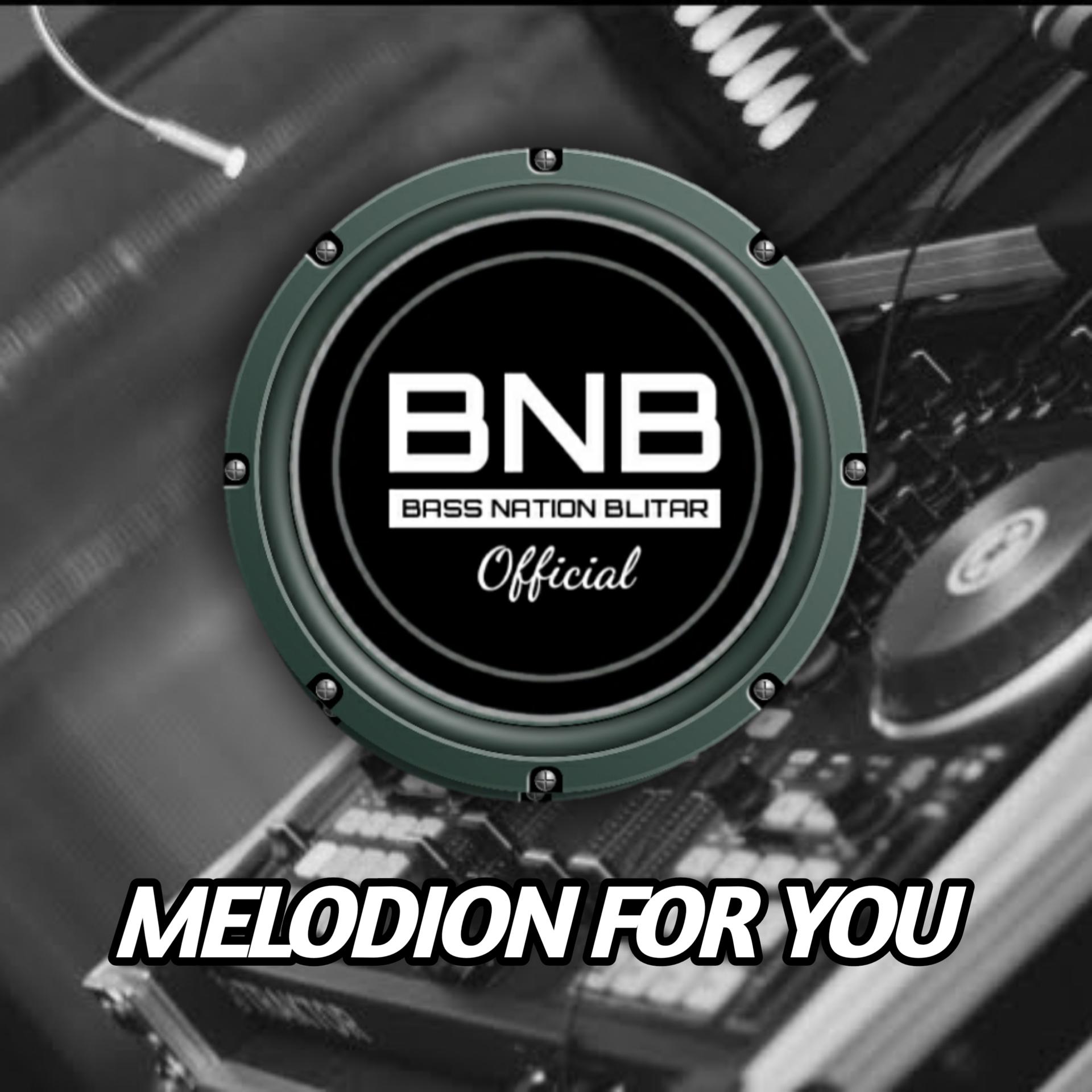 Постер альбома Melodion For You