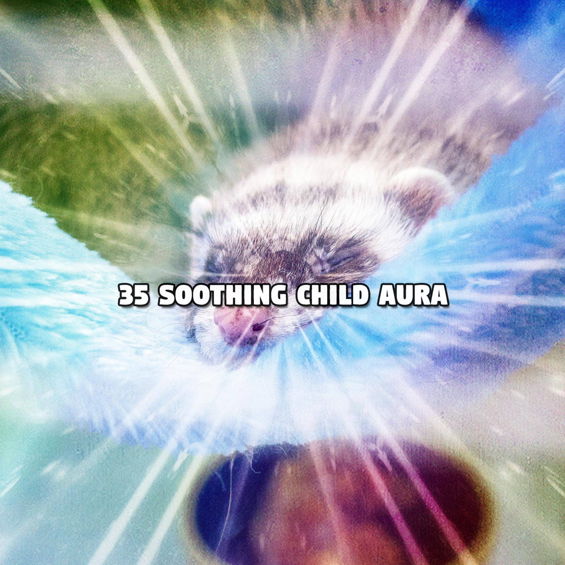 Постер альбома 35 Soothing Child Aura