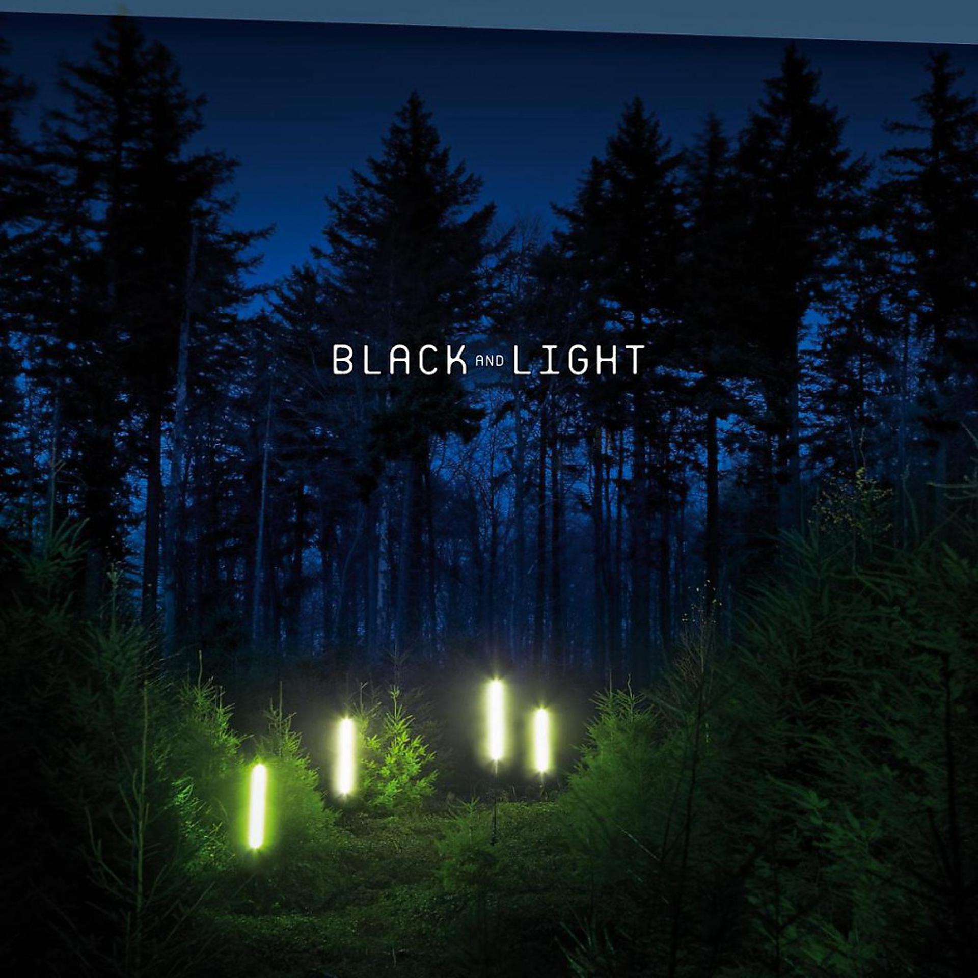 Постер альбома Black&light