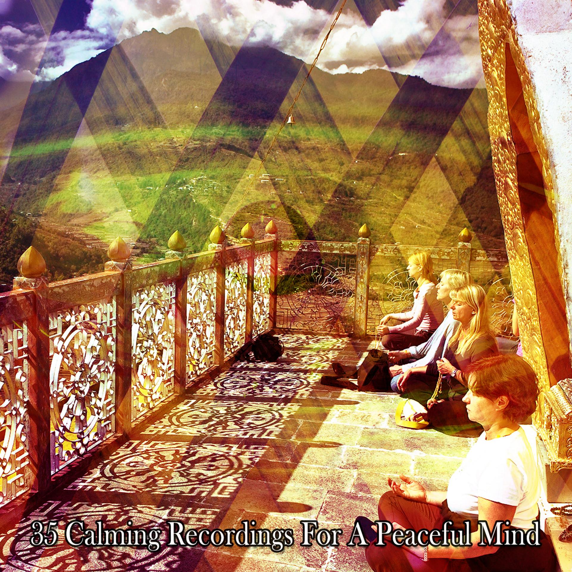 Постер альбома 35 Calming Recordings For A Peaceful Mind