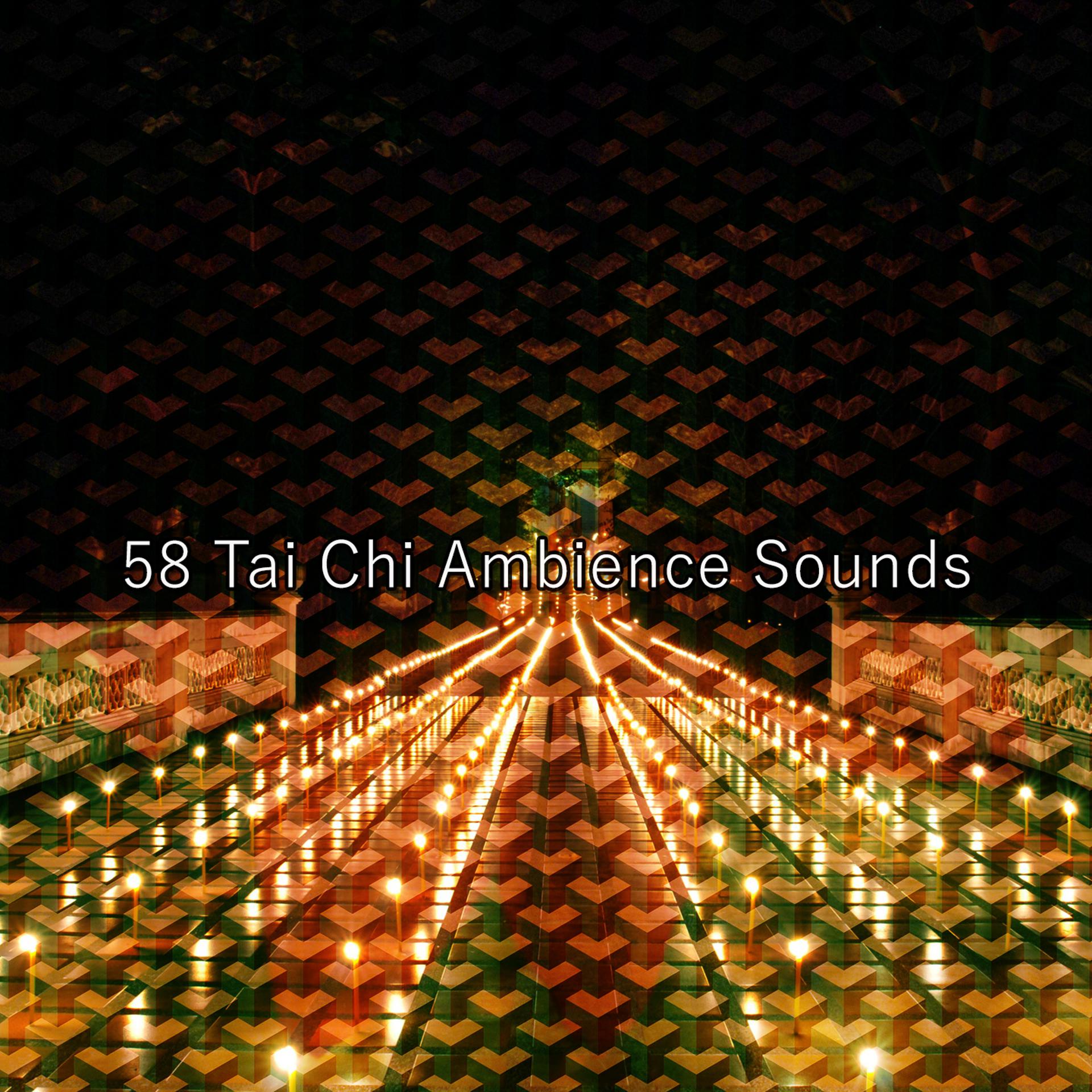 Постер альбома 58 Tai Chi Ambience Sounds