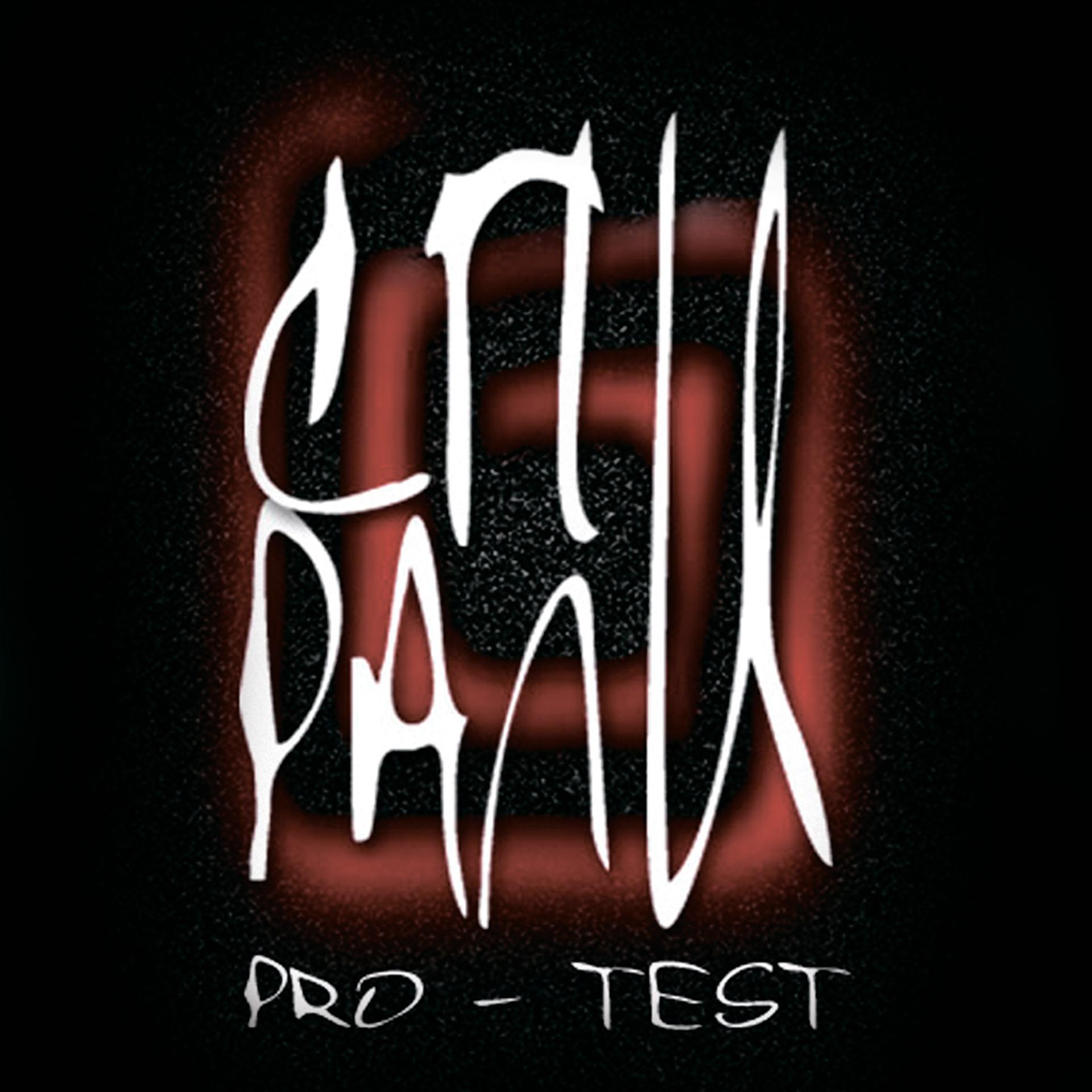 Постер альбома Pro-Test