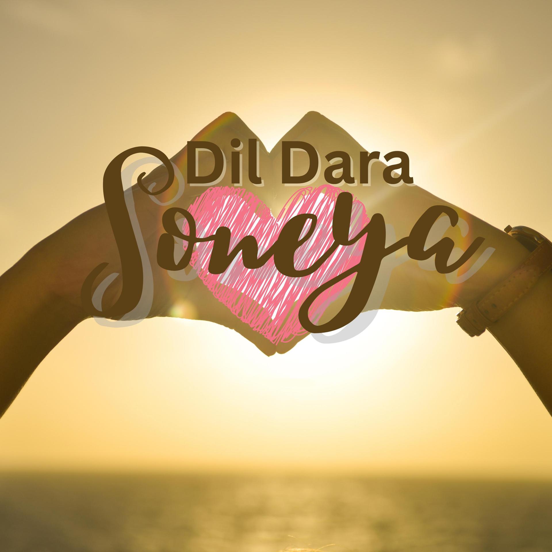 Постер альбома Dil Dara Soneya