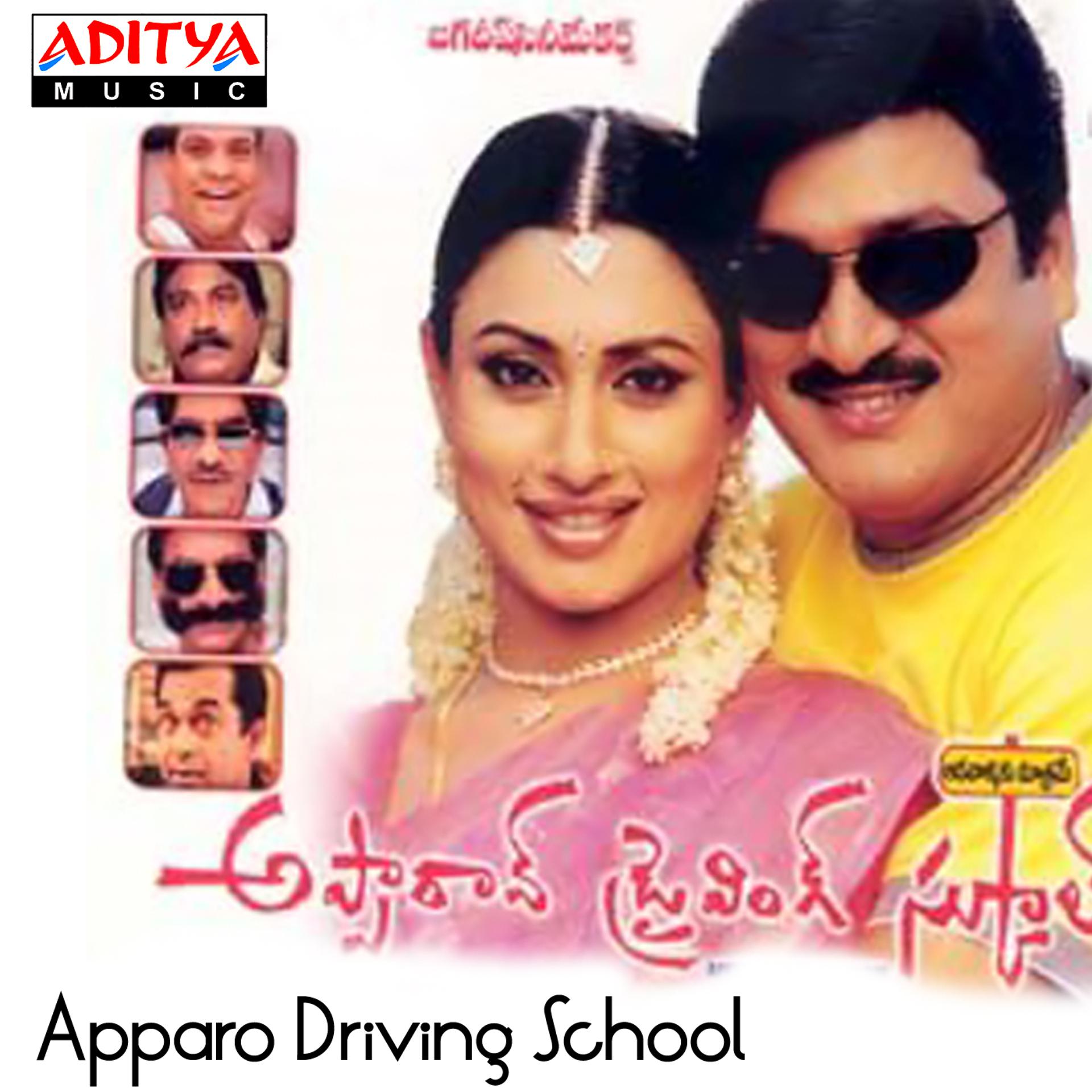 Постер альбома Apparo Driving School