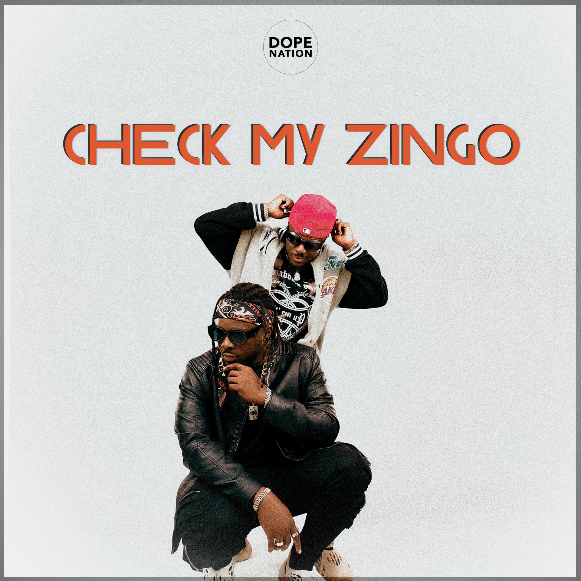 Постер альбома Check My Zingo