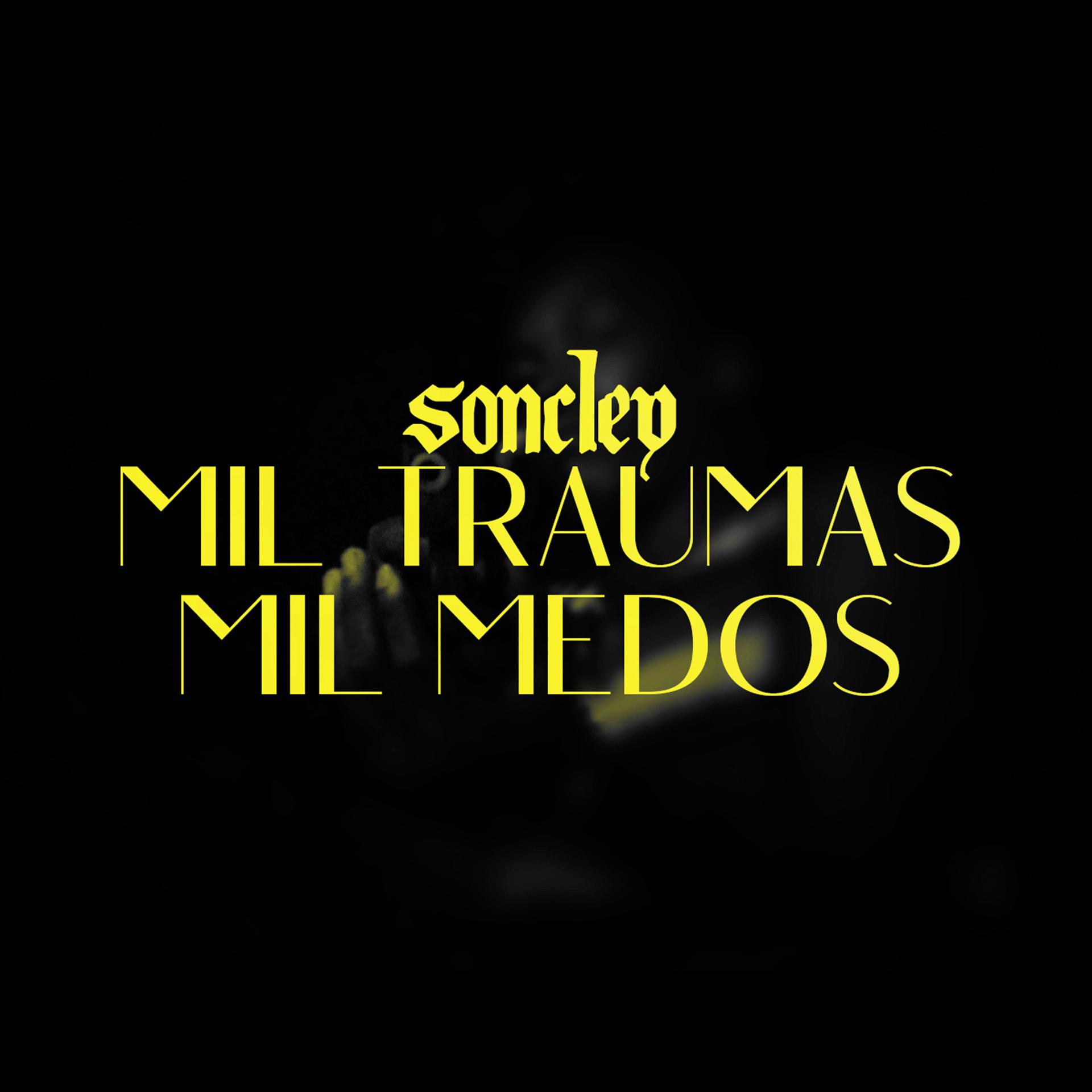 Постер альбома Mil Traumas / Mil Medos
