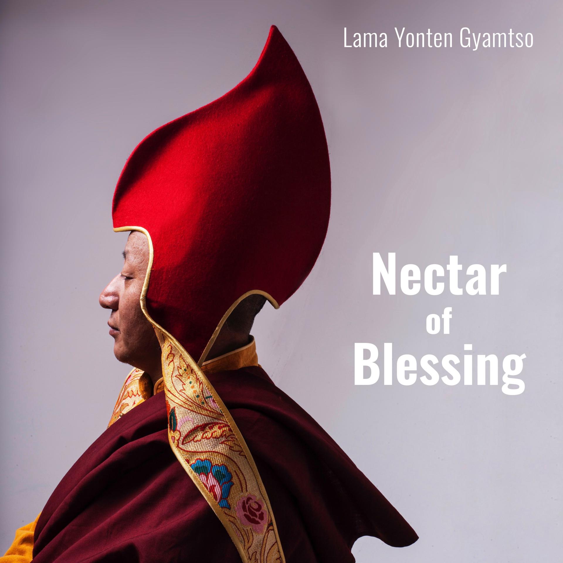 Постер альбома Nectar of Blessing