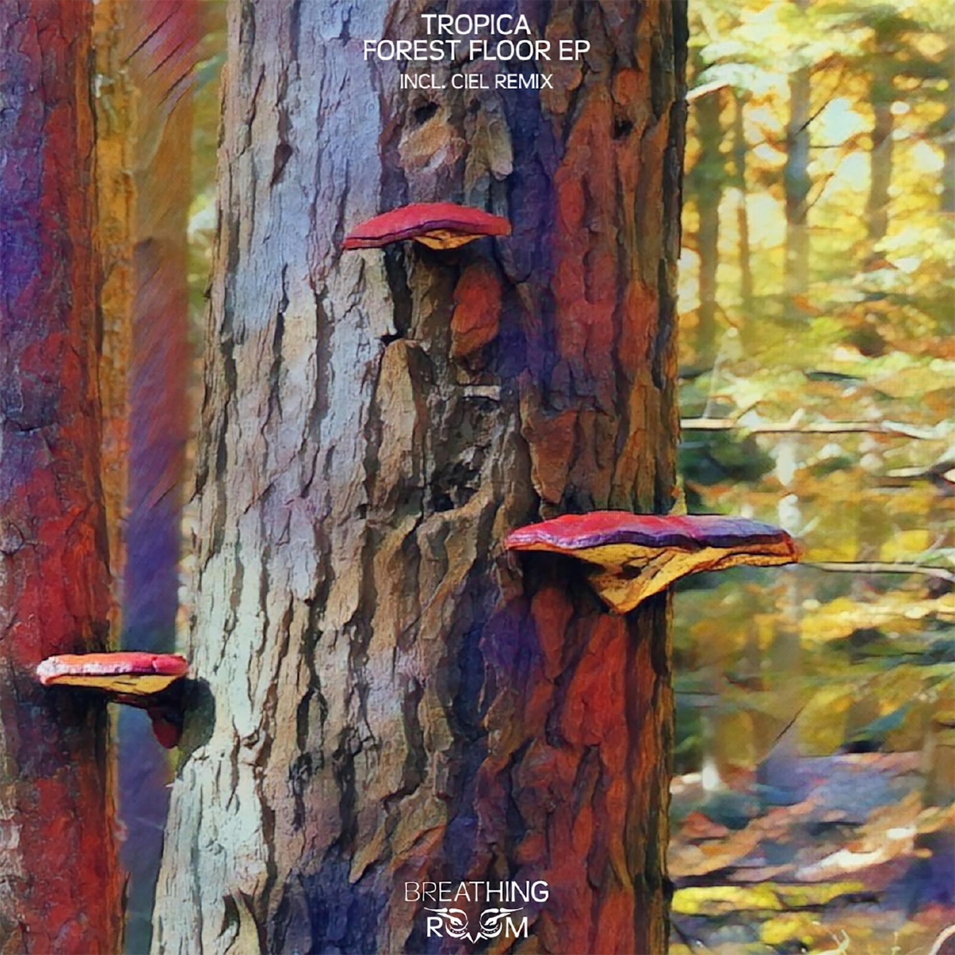 Постер альбома Forest Floor - EP