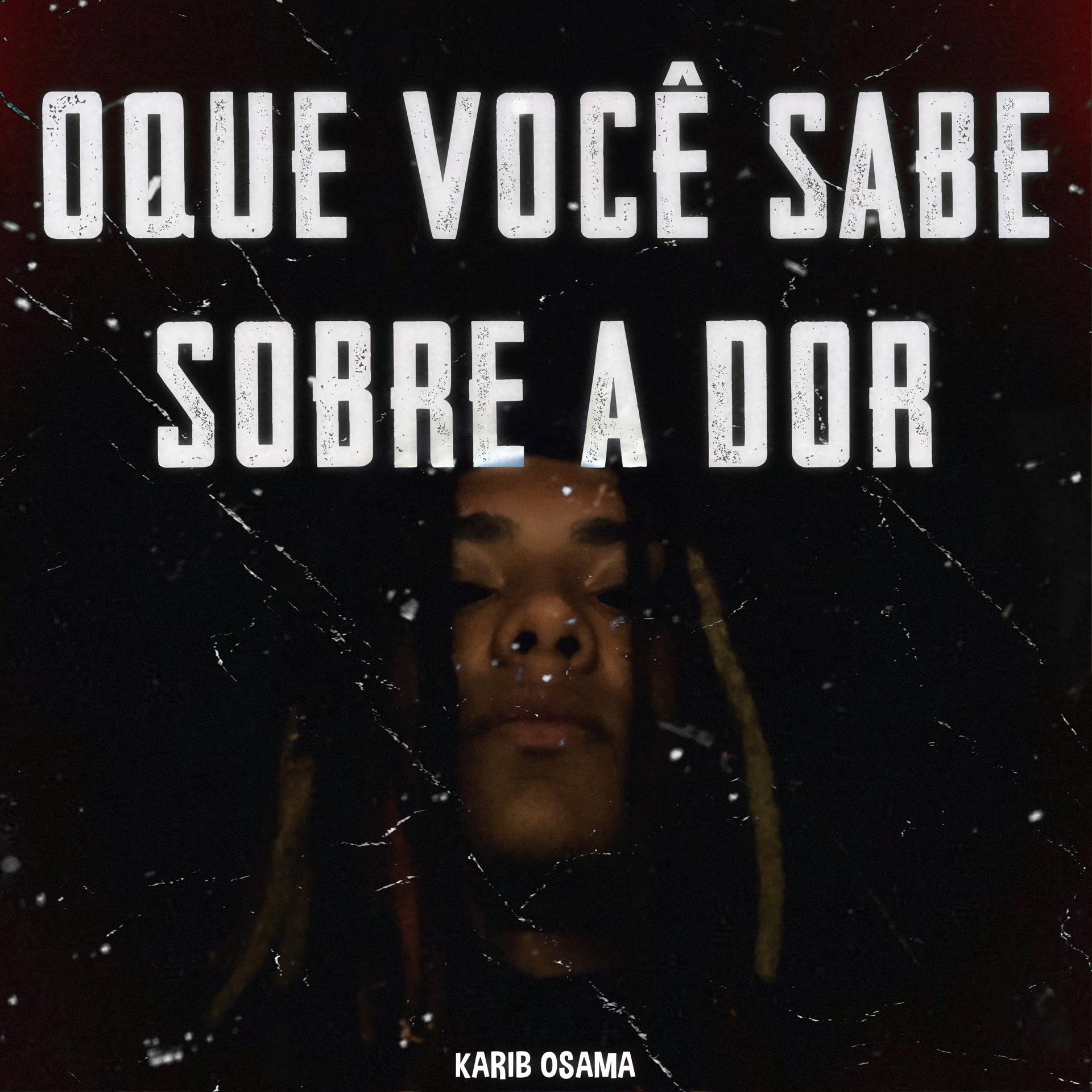 Постер альбома Oque Você Sabe Sobre a Dor