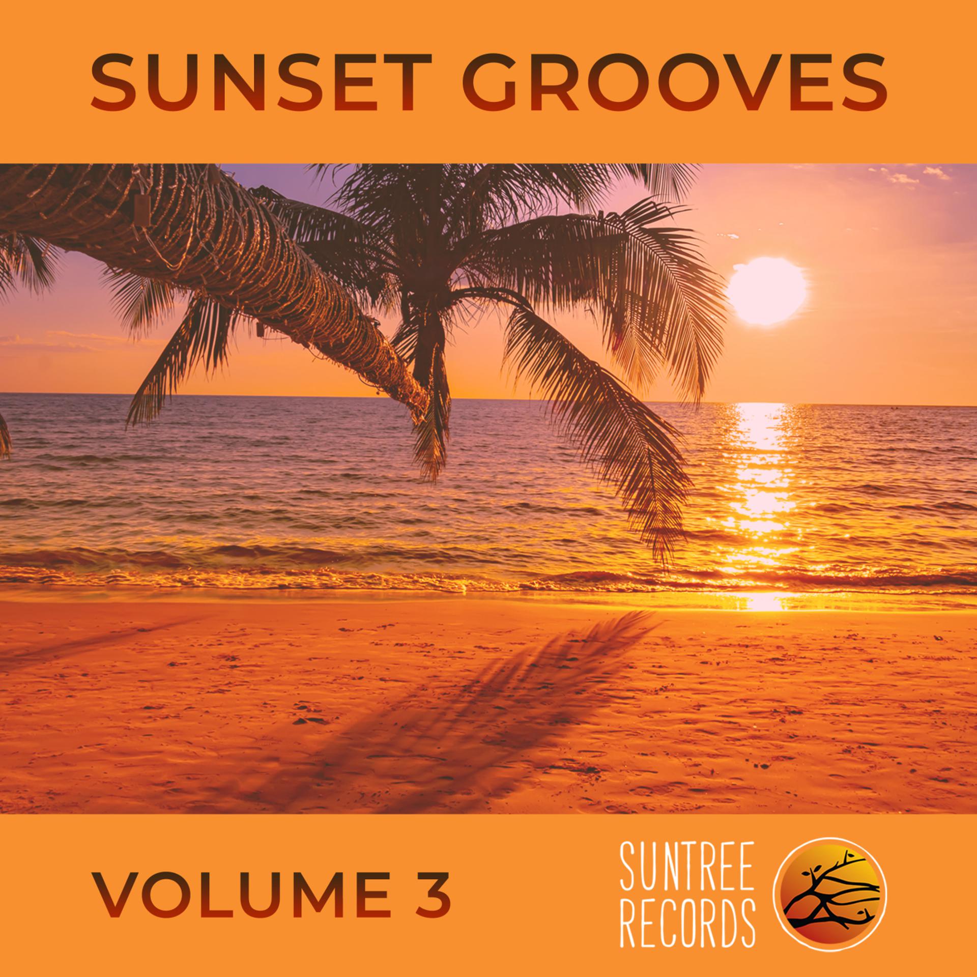 Постер альбома Sunset Grooves Vol. III
