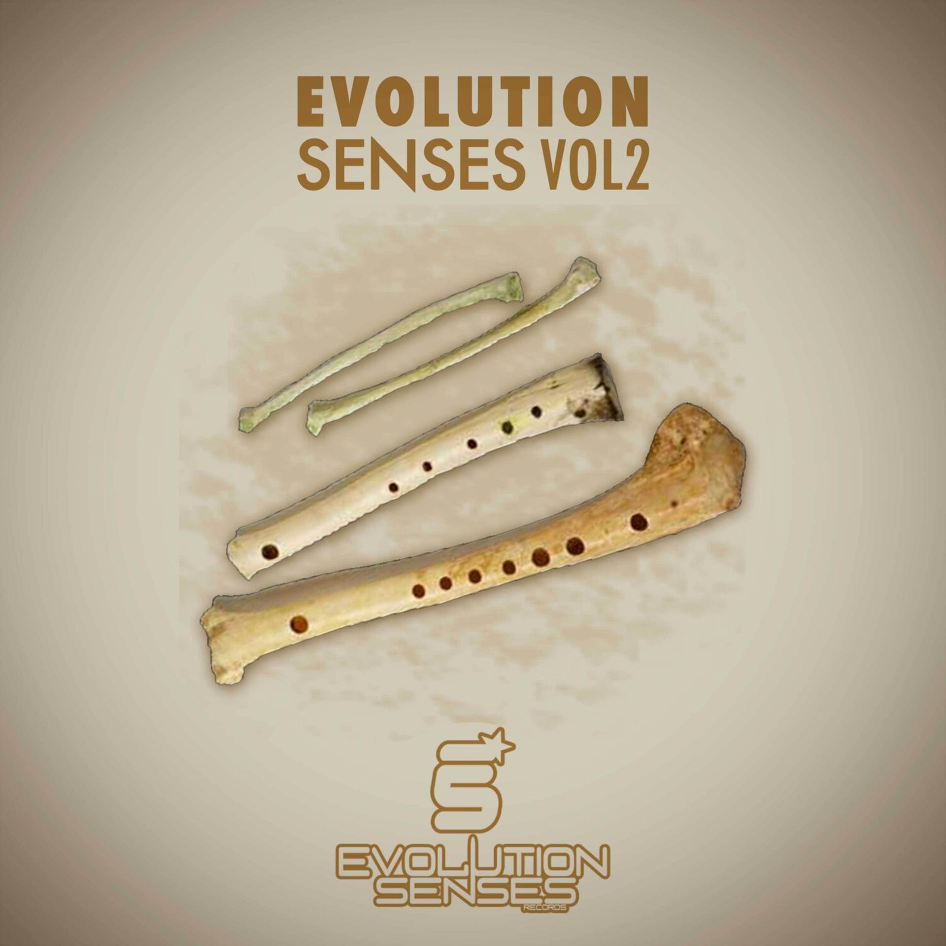 Постер альбома Evolution Senses Vol2