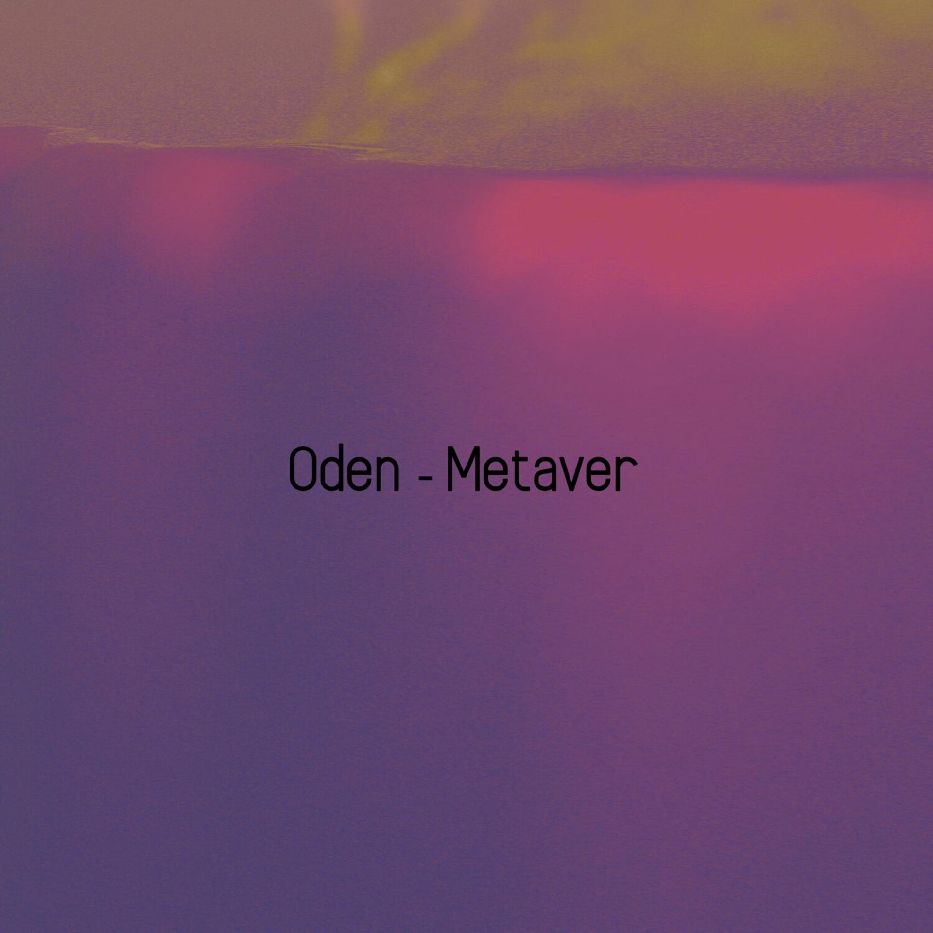 Постер альбома Metaver
