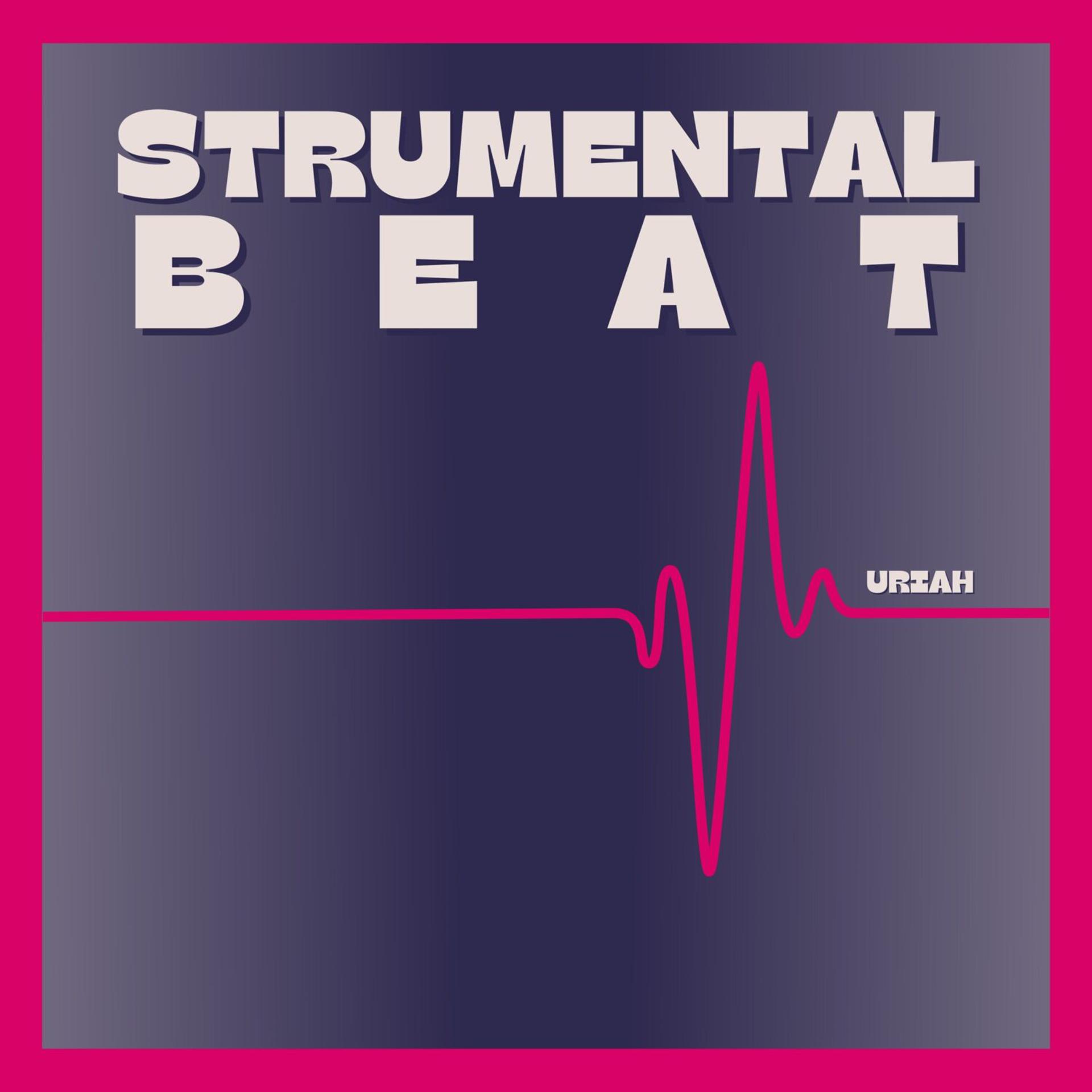 Постер альбома Strumental Beat