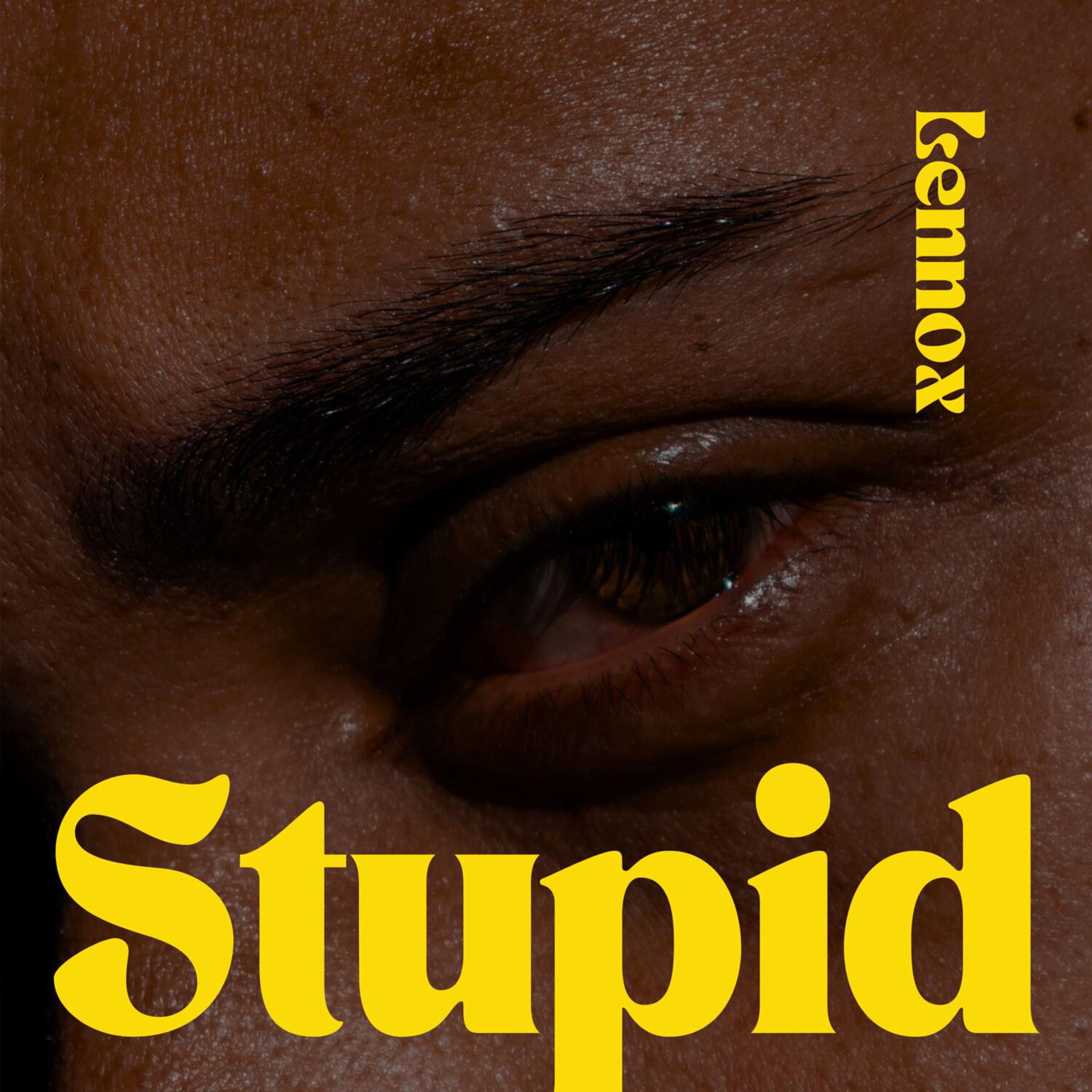 Постер альбома Stupid