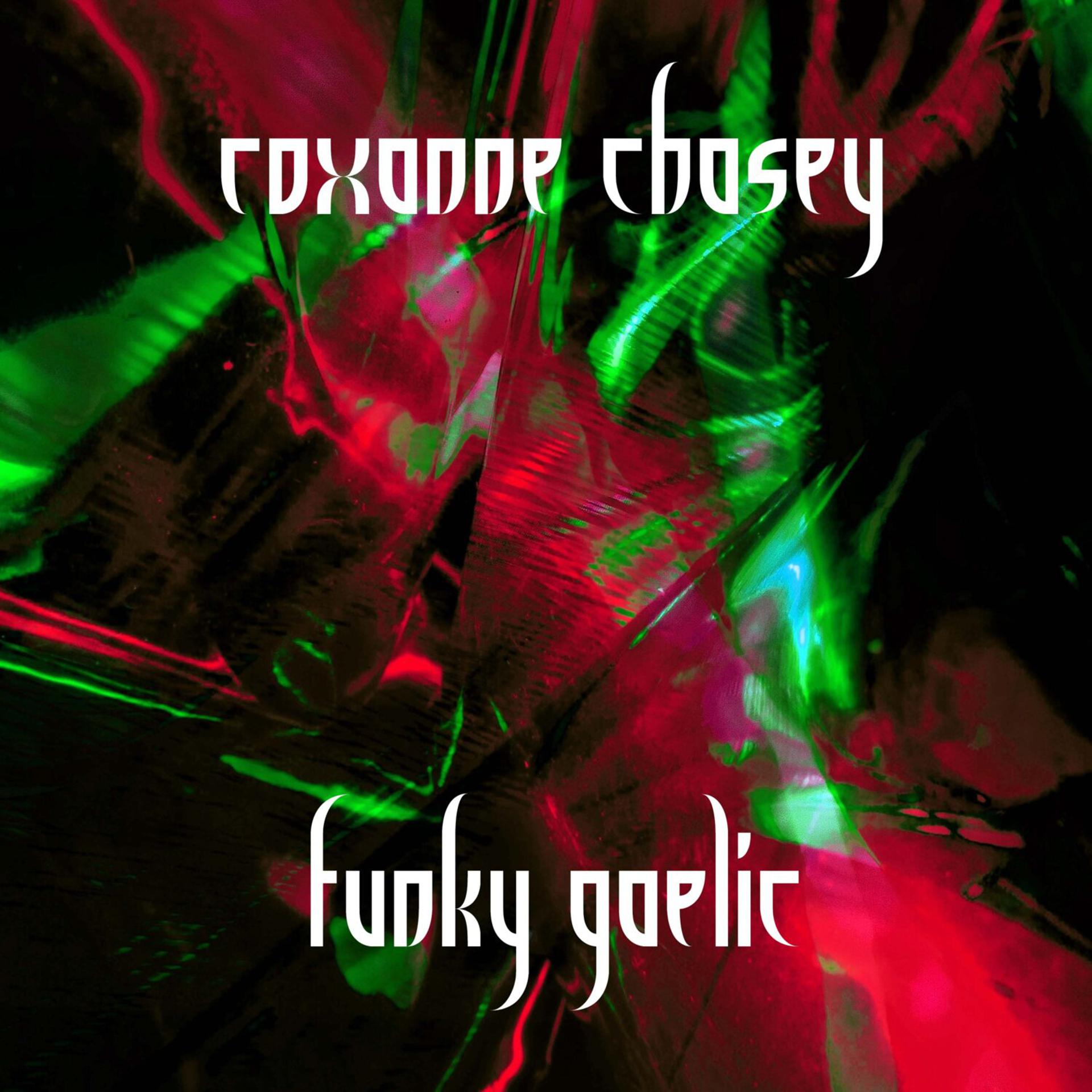 Постер альбома Funky Gaelic