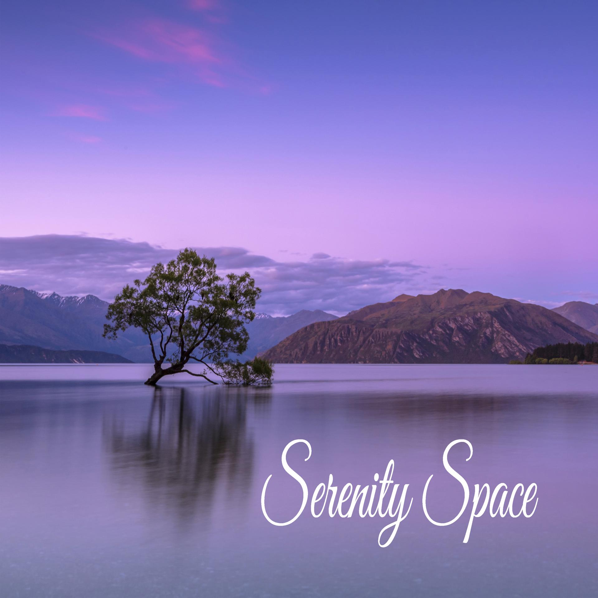 Постер альбома Serenity Space