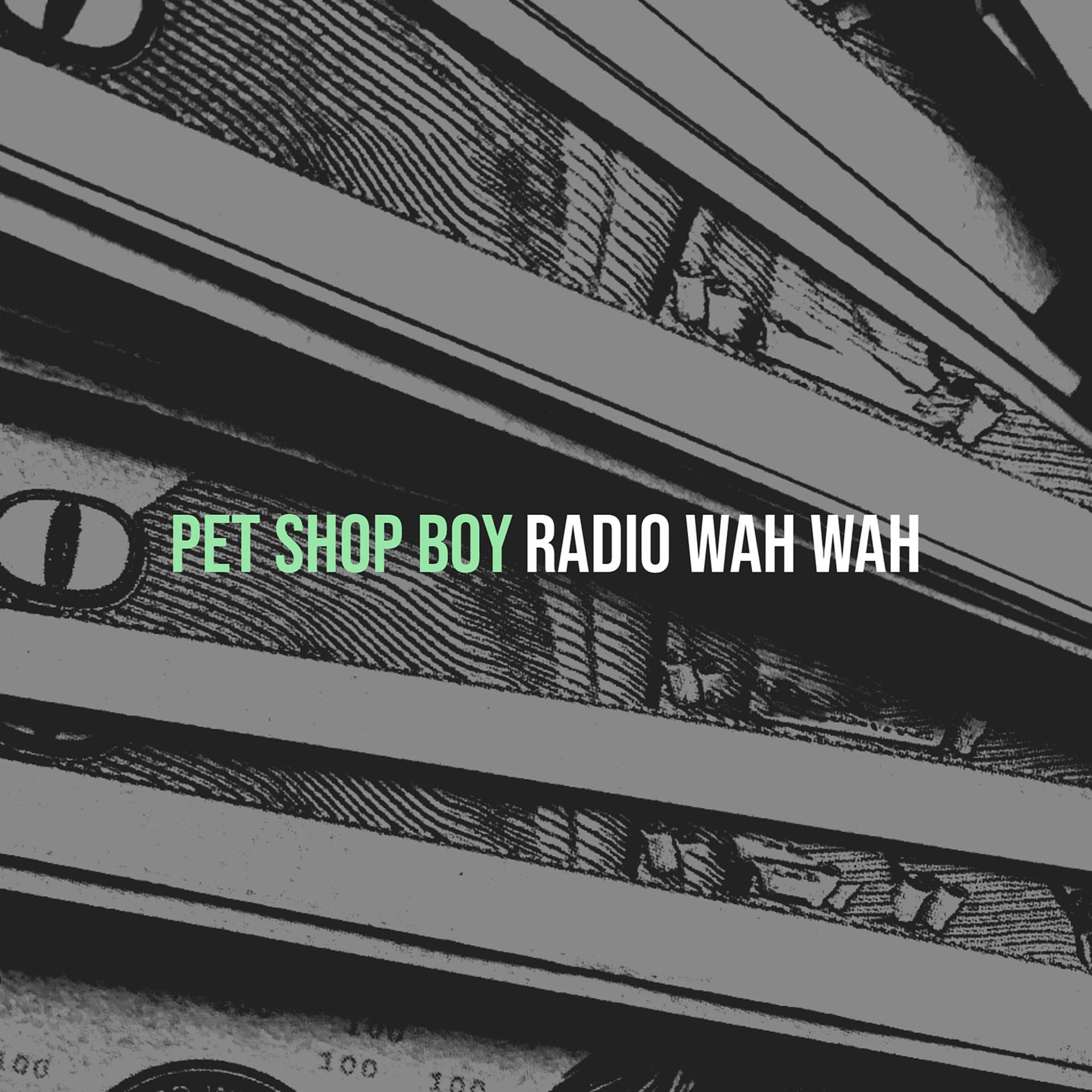 Постер альбома Pet Shop Boy