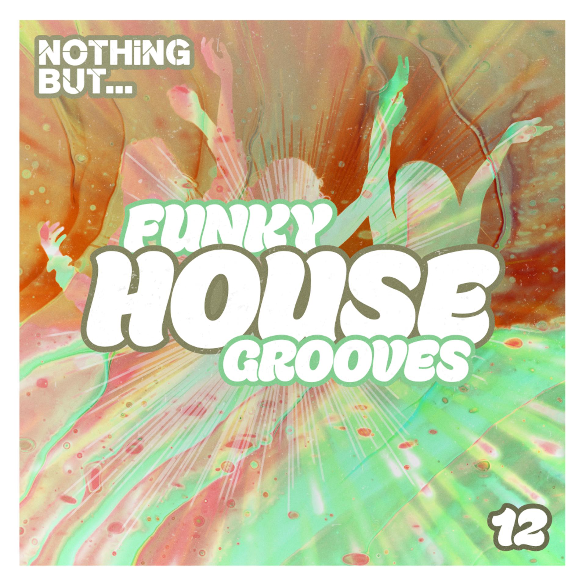 Постер альбома Nothing But... Funky House Grooves, Vol. 12