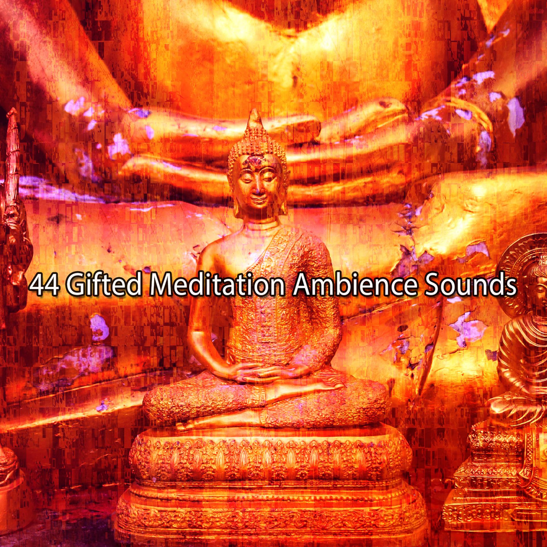 Постер альбома 44 Gifted Meditation Ambience Sounds