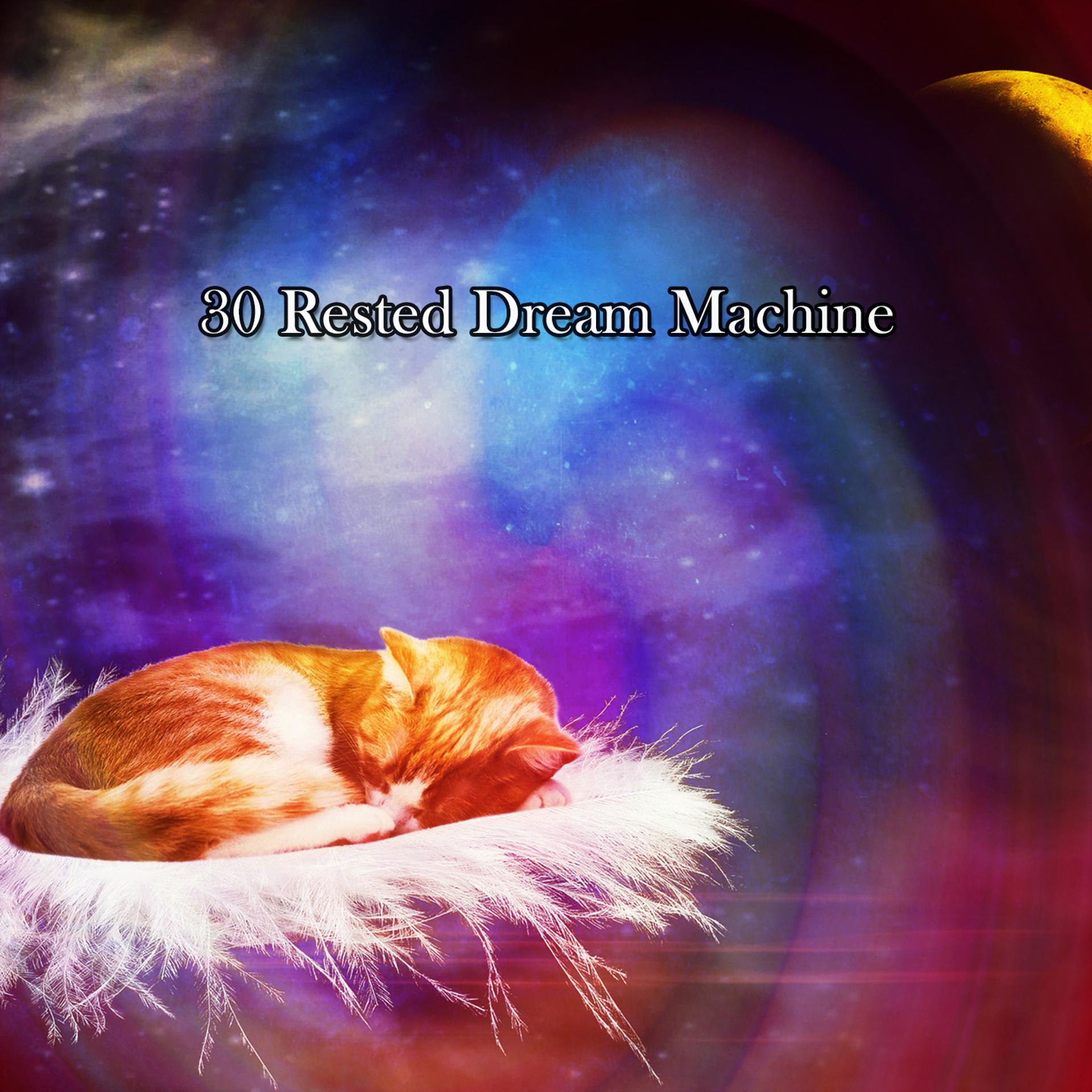 Постер альбома 30 Rested Dream Machine
