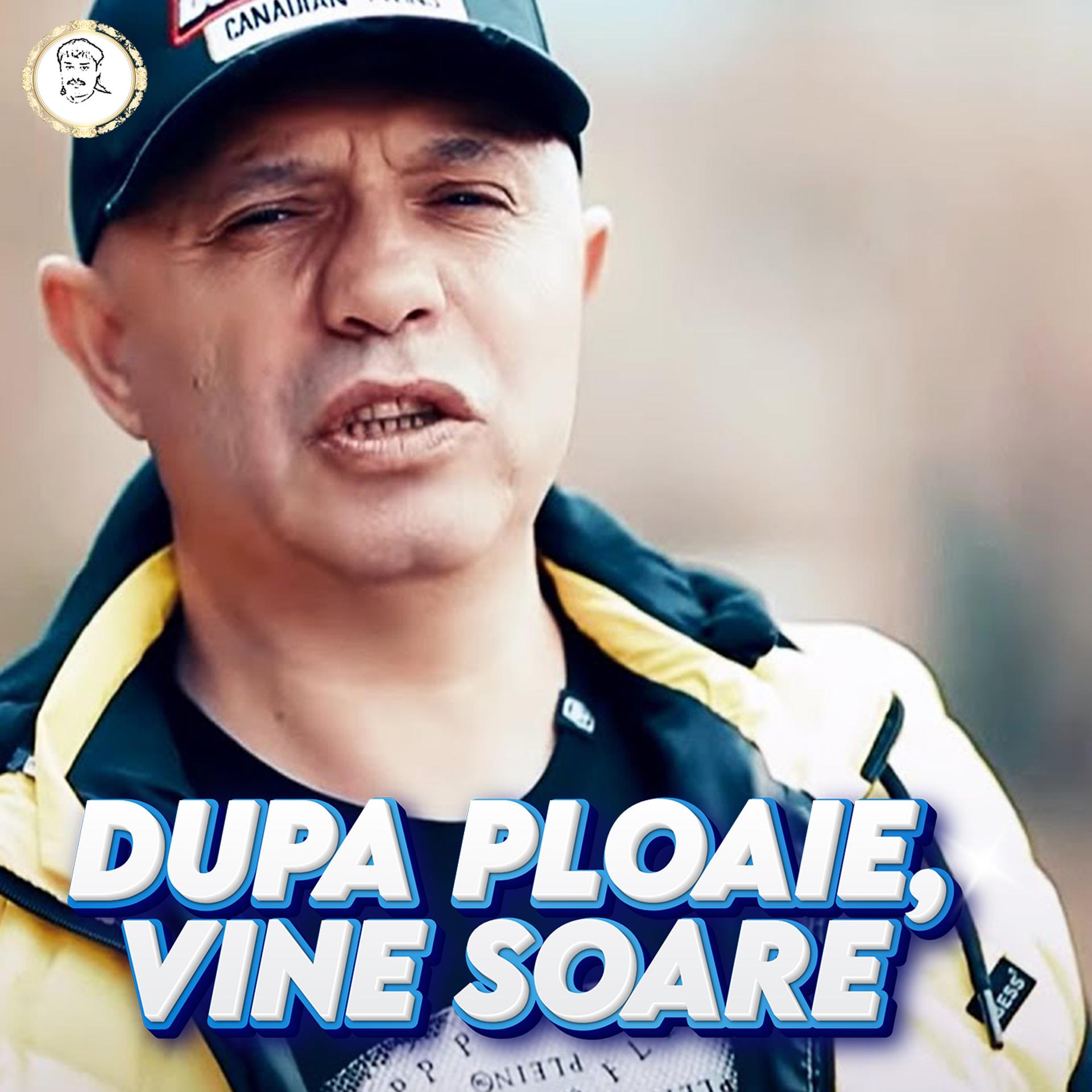 Постер альбома DUPA PLOAIE, VINE SOARE