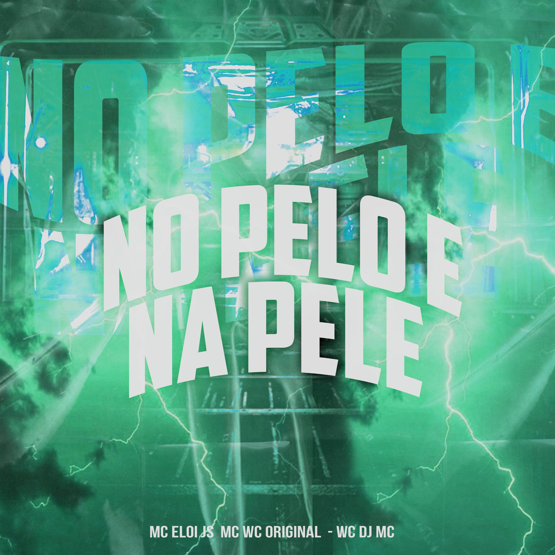 Постер альбома No pelo e na Pele