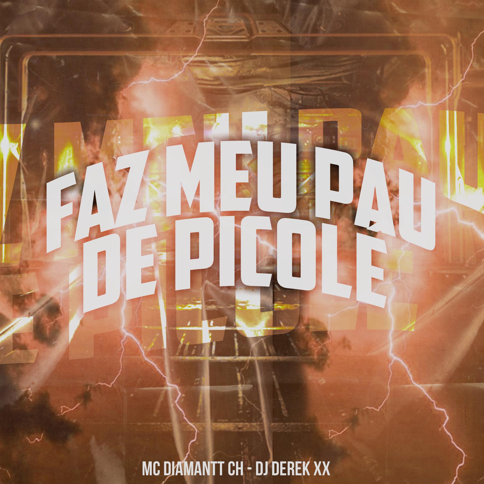 Постер альбома Faz Meu Pau de Picolé