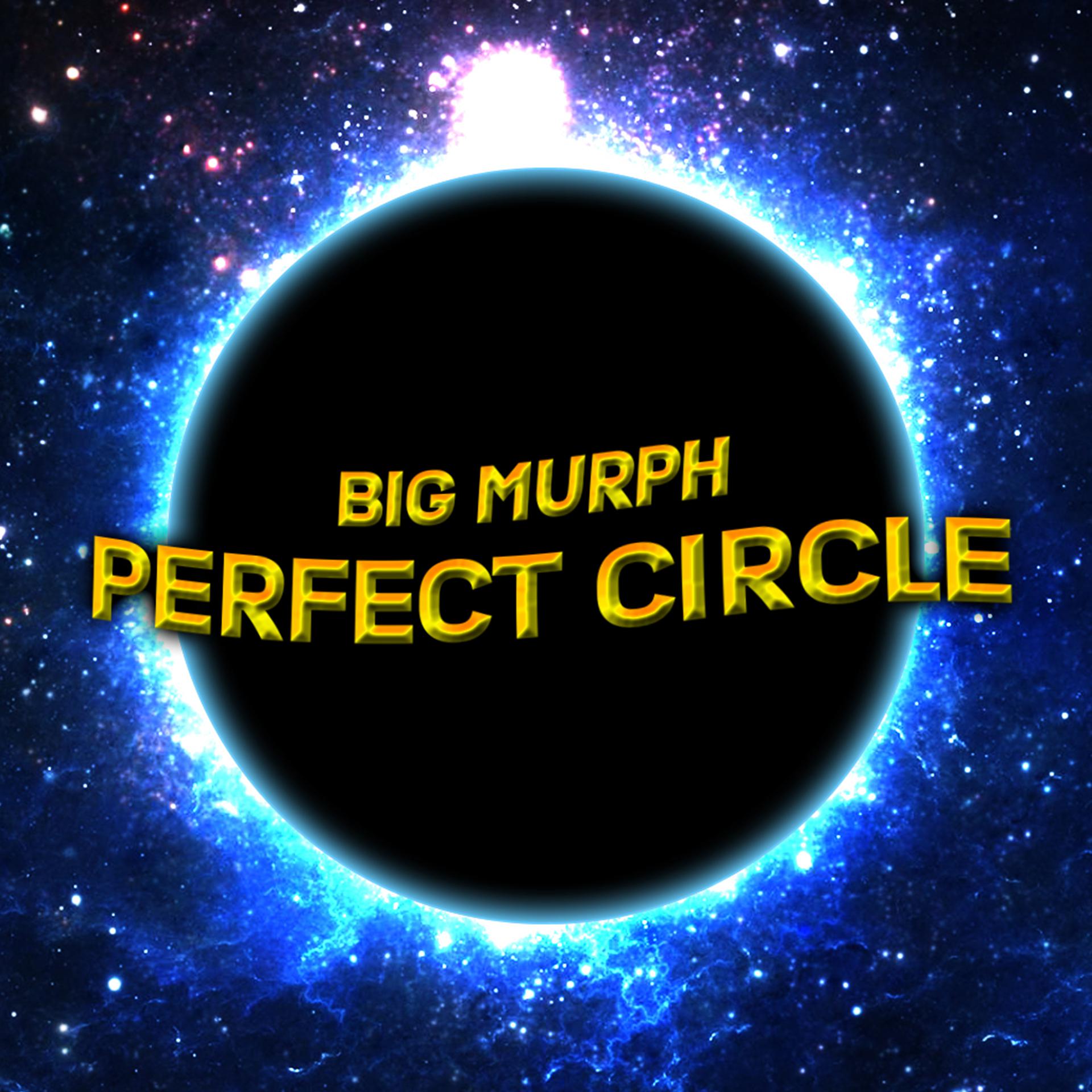 Постер альбома Perfect Circle