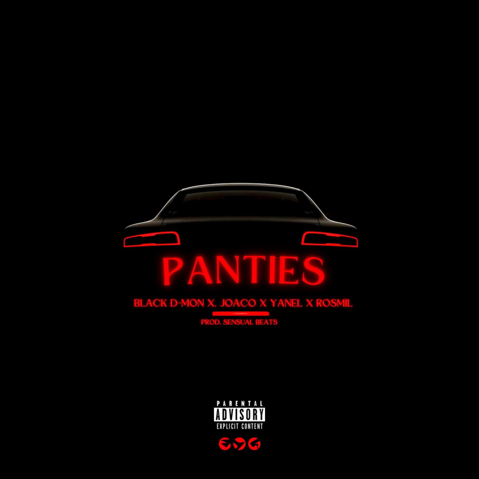 Постер альбома Panties