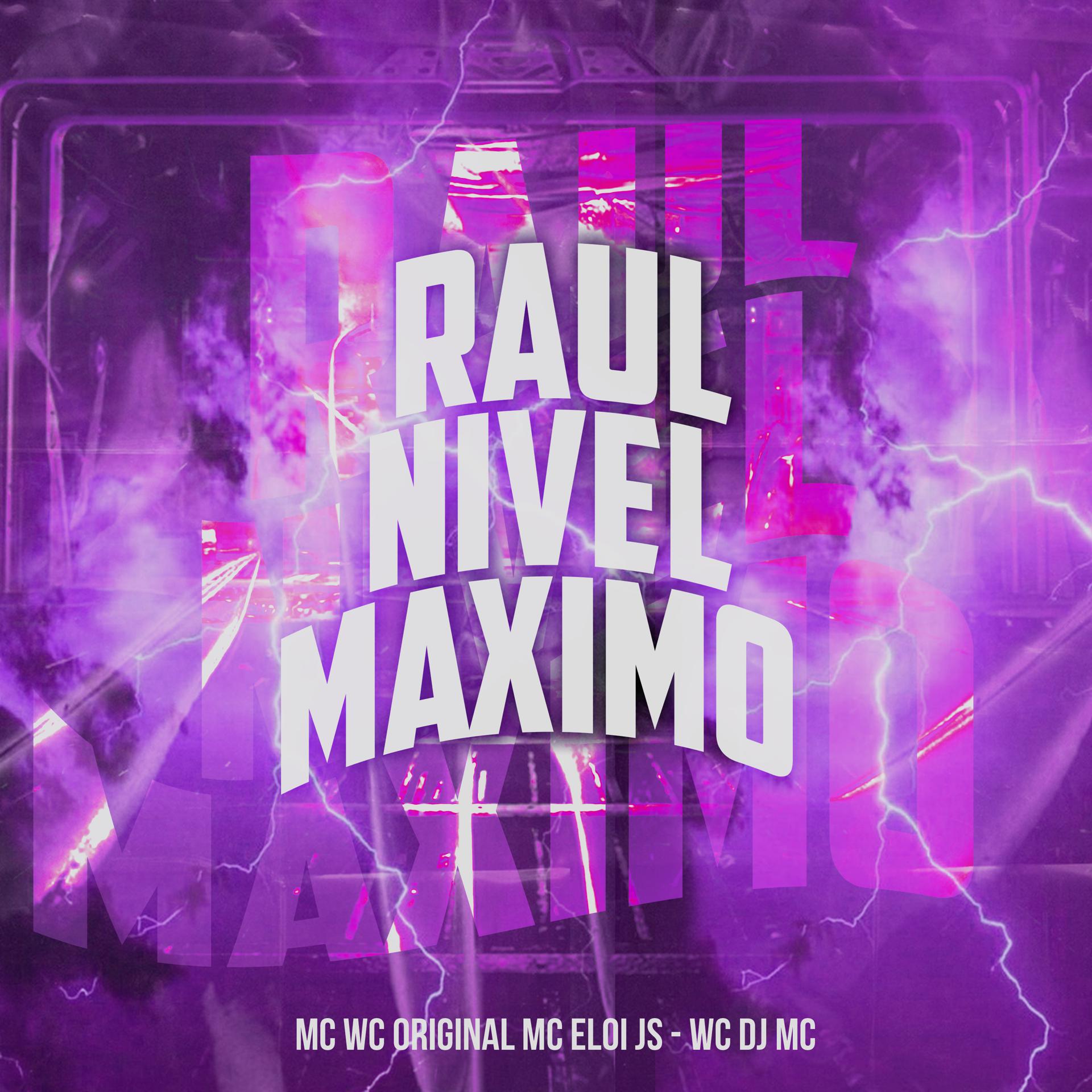 Постер альбома Raul Nivel Maximo
