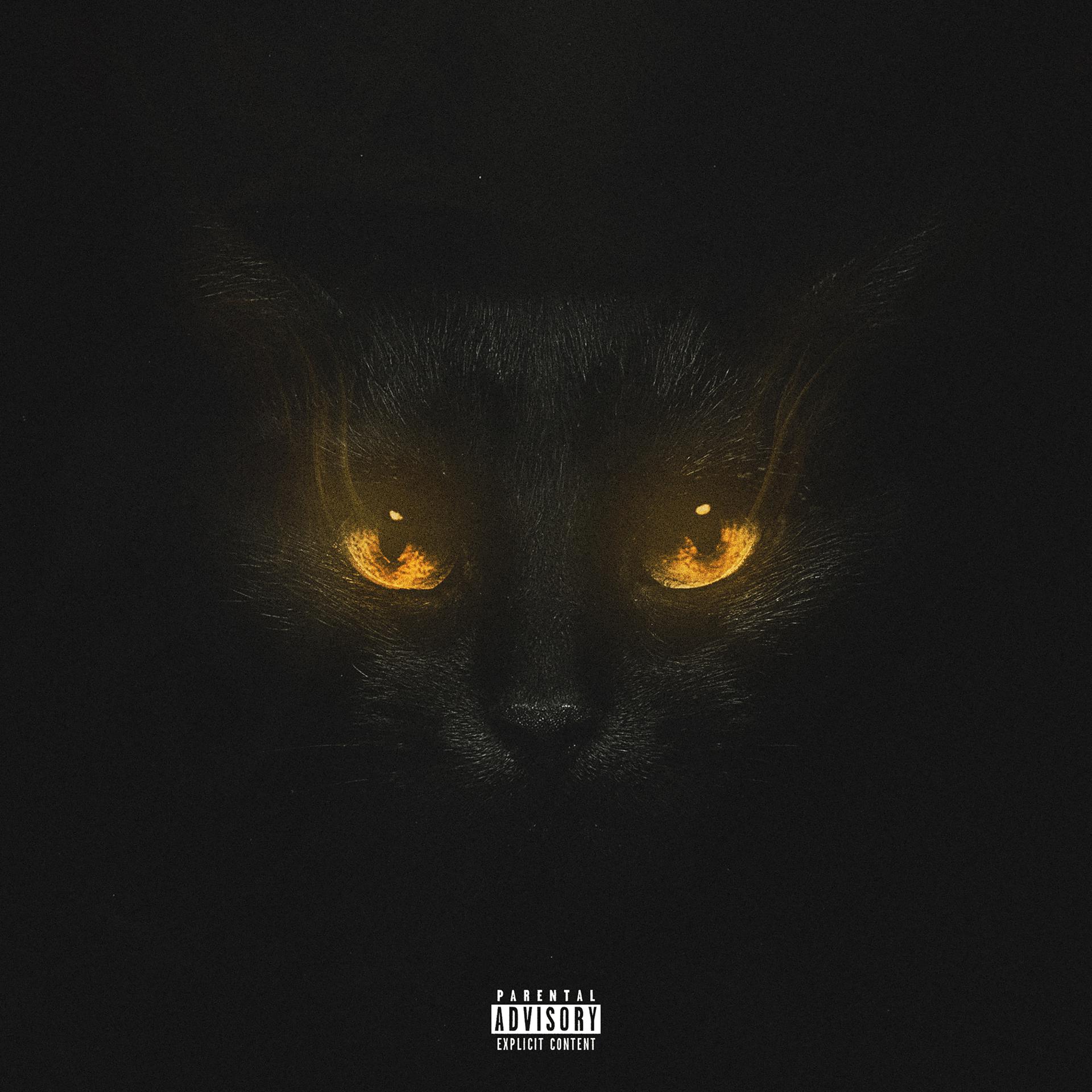 Постер альбома BLACK CAT