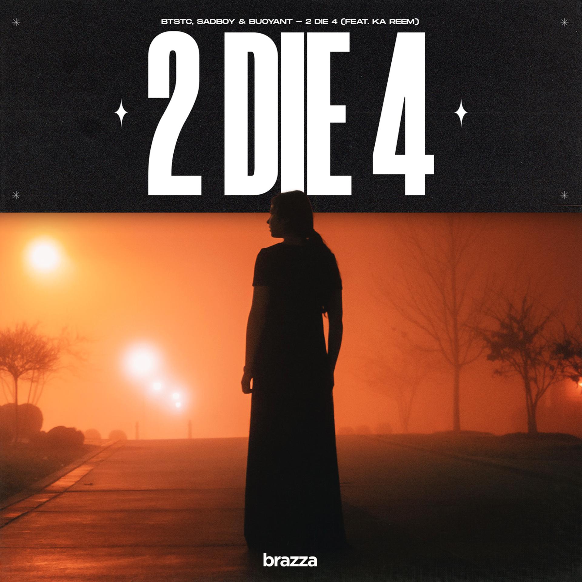 Постер альбома 2 Die 4