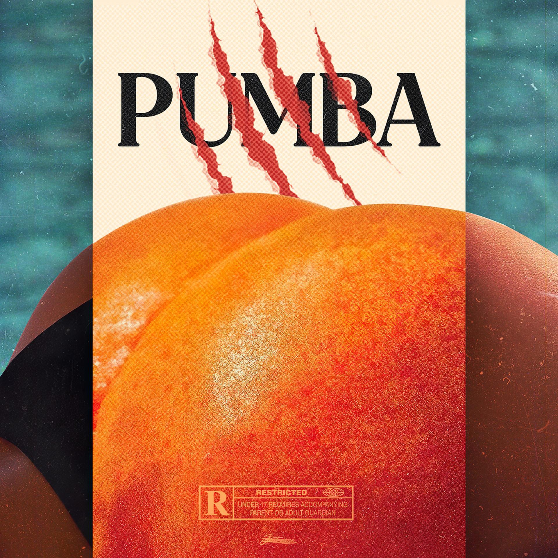 Постер альбома PUMBA