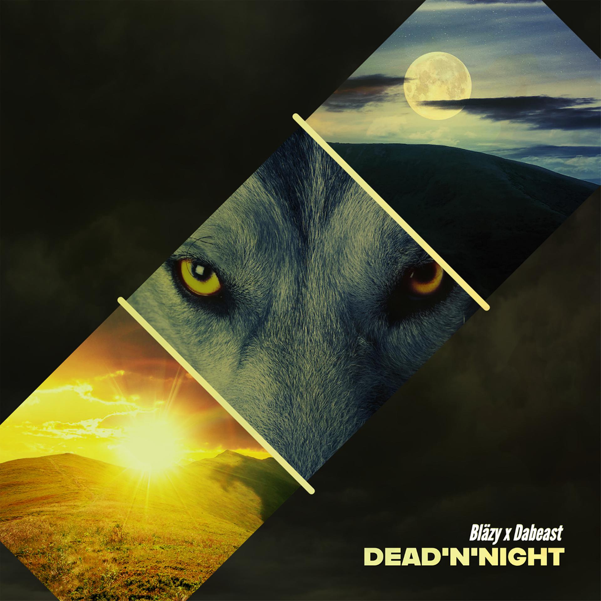 Постер альбома Dead'n'Night