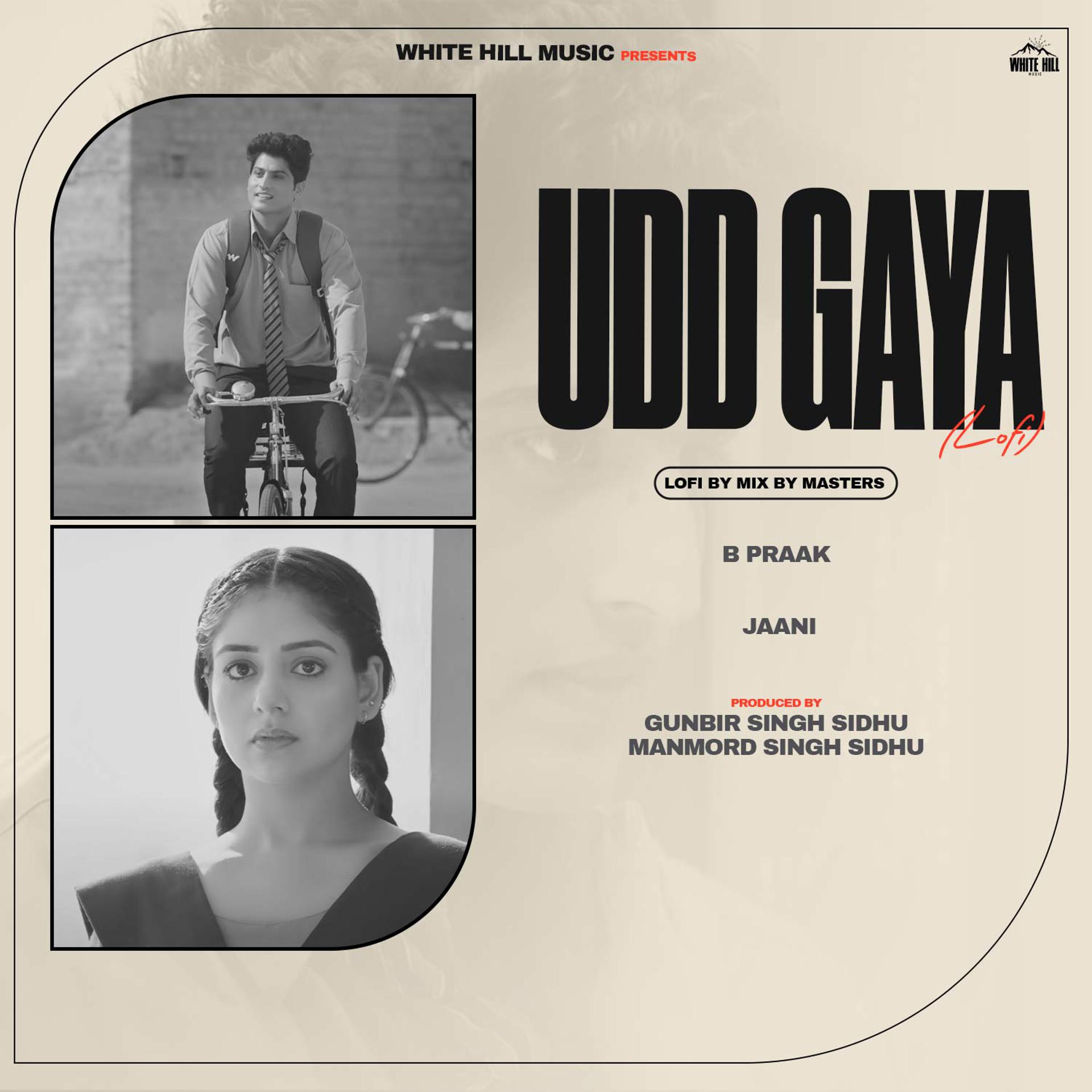Постер альбома Udd Gaya (Lofi)