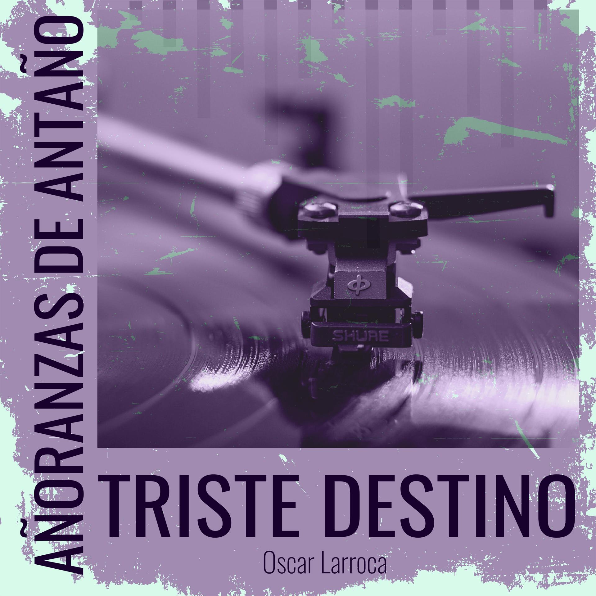Постер альбома Añoranzas de Antaño - Triste Destino