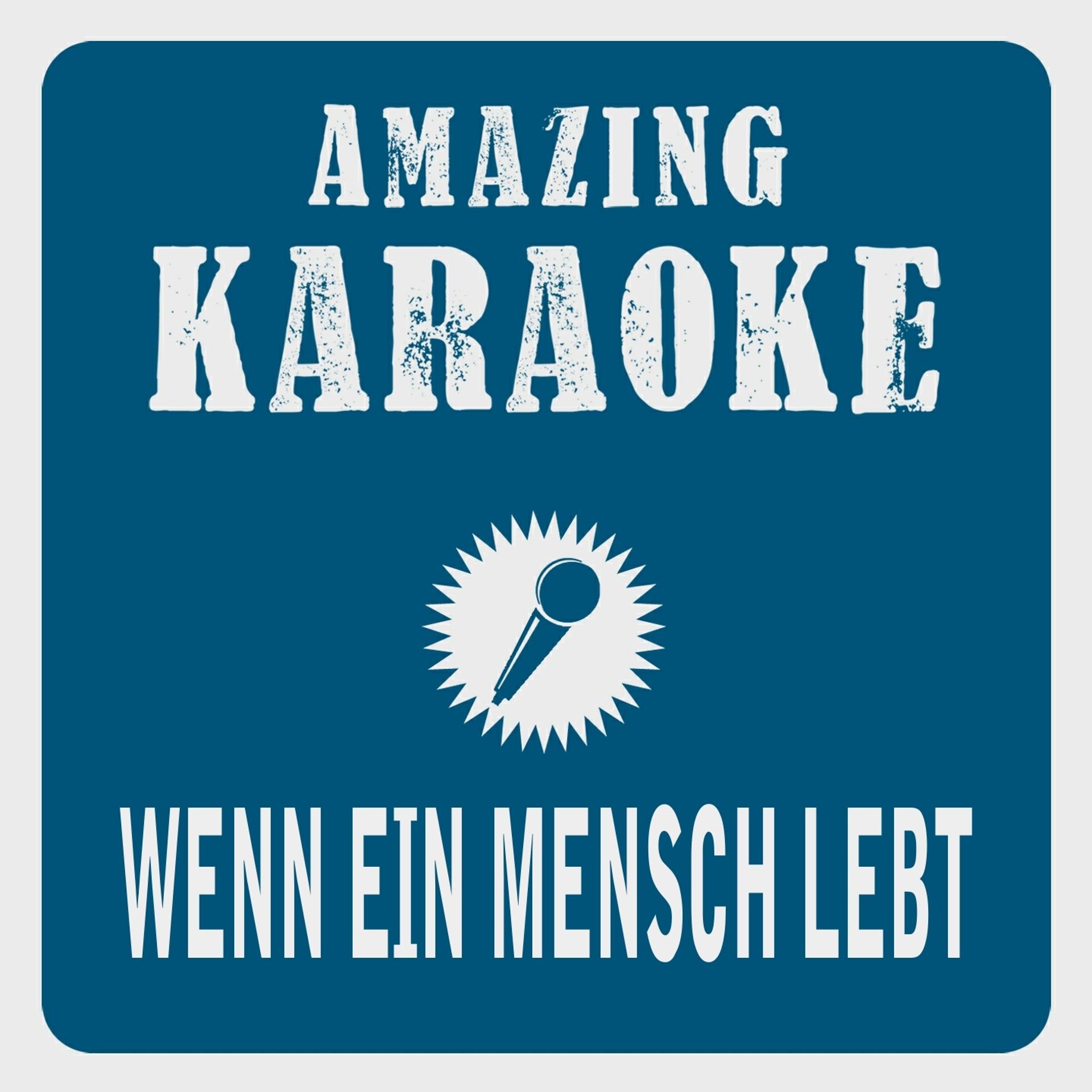 Постер альбома Wenn ein Mensch lebt (Karaoke Version)